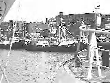 Fotocollectie Rijksvoorlichtingsdienst Eigen — dias vlaggetjesdag scheveningen — Foto: Schuurman, Ralph L. / RVD. Licentie: Set B: Rechtenvrij / Publiek Domein. Bron: Nationaal Archief. http://hdl.handle.net/10648/af7333f6-d0b4-102d-bcf8-003048976d84
