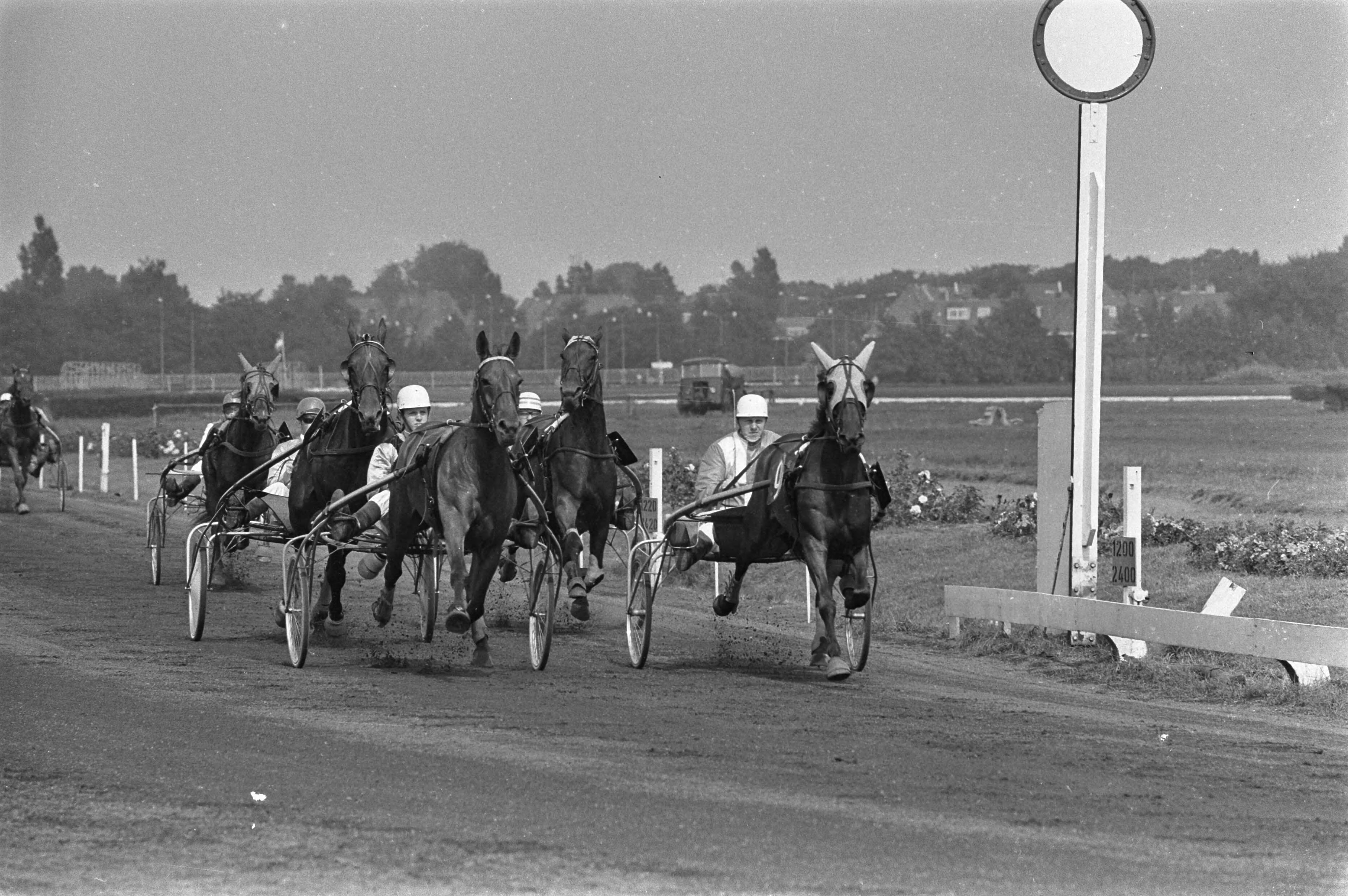Fotocollectie Anefo — Derby voor dravers op Duindigt; winnaar "Ironie" met berijder M. Vergay — Foto: Mieremet, Rob / Anefo. Licentie: Set B: Rechtenvrij / Publiek Domein. Bron: Nationaal Archief. http://hdl.handle.net/10648/ab9e7600-d0b4-102d-bcf8-003048976d84