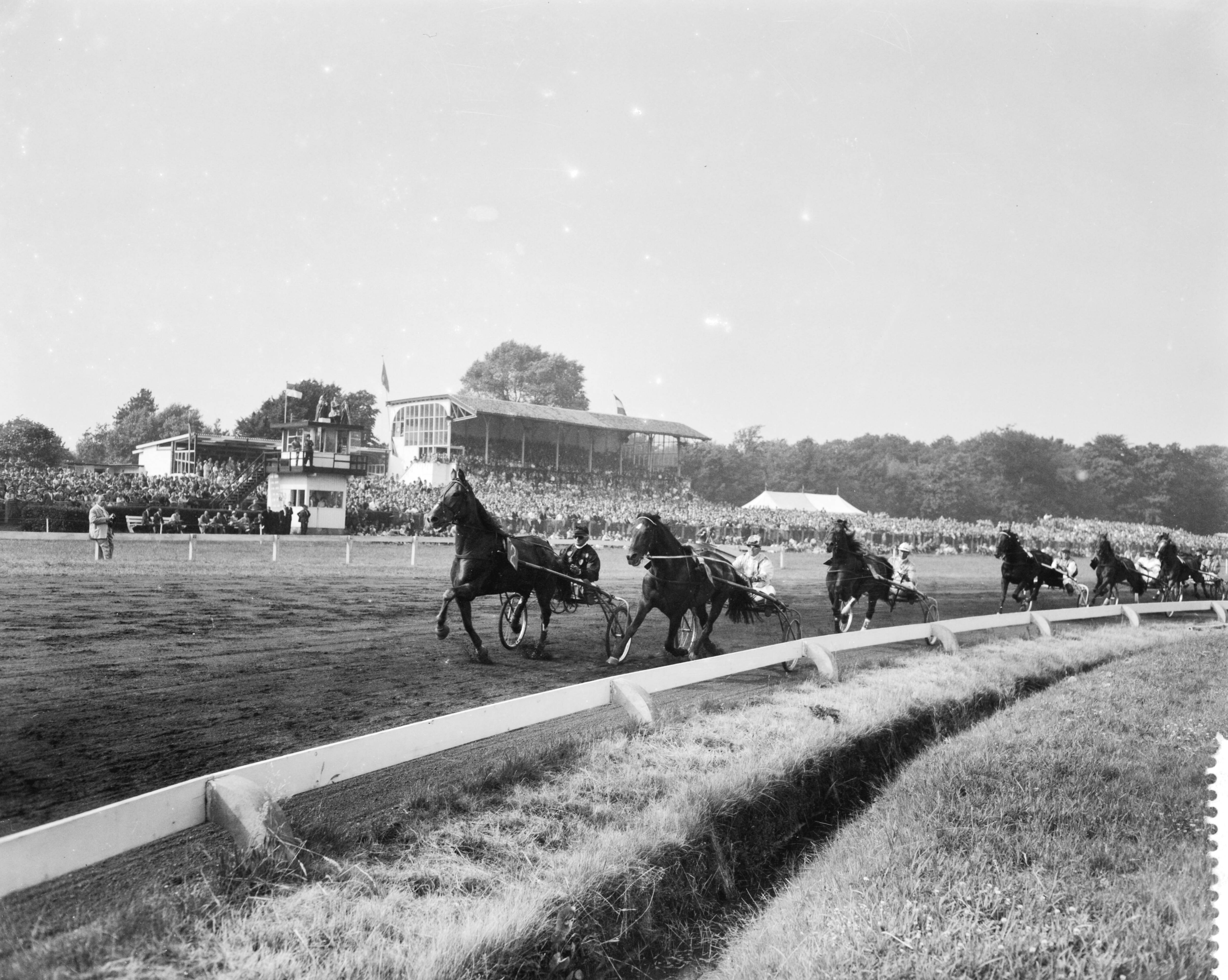 Fotocollectie Anefo — Draverijen op Duindigt — Foto: Behrens, Herbert F. / Anefo. Licentie: Set B: Rechtenvrij / Publiek Domein. Bron: Nationaal Archief. http://hdl.handle.net/10648/a97f6b5e-d0b4-102d-bcf8-003048976d84