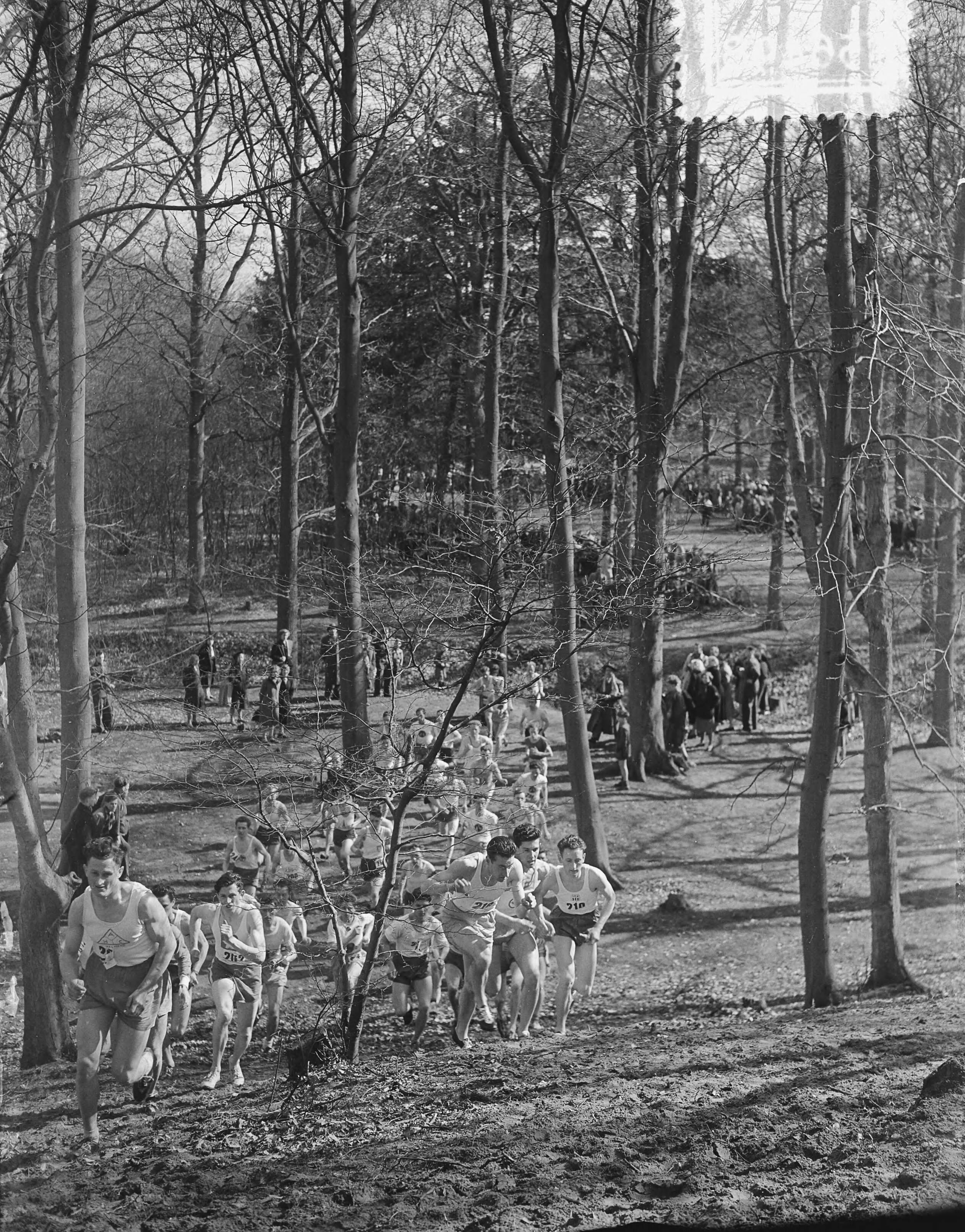 Fotocollectie Anefo — Veldloopkampioenschappen van Nederland in Wassenaar. A. Klasse — Foto: Bilsen, Joop van / Anefo. Licentie: Set B: Rechtenvrij / Publiek Domein. Bron: Nationaal Archief. http://hdl.handle.net/10648/a909c732-d0b4-102d-bcf8-003048976d84