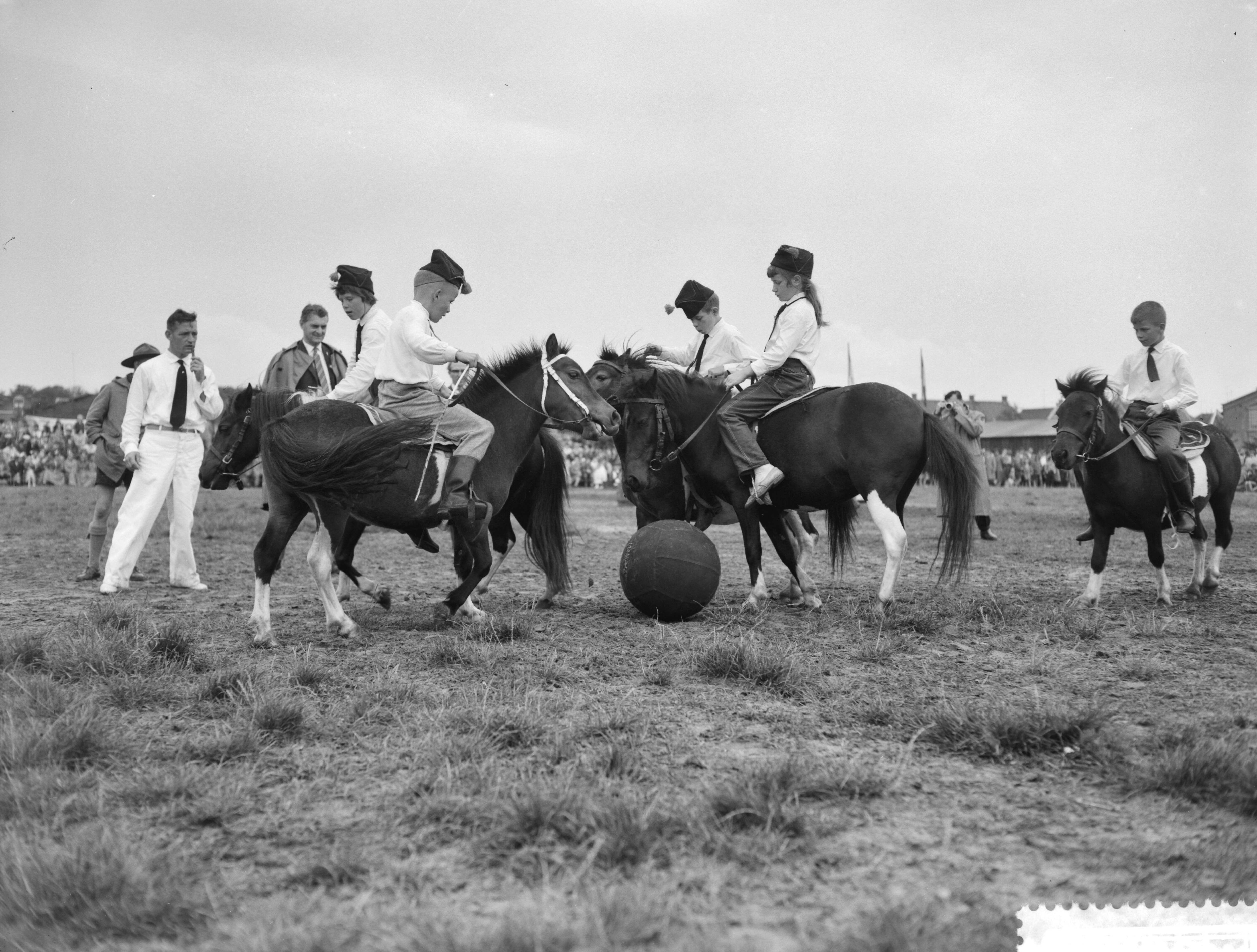 Fotocollectie Anefo — Concours hippique te Breda. De landelijke rijvereniging Bemmel en Omstreden gaf een demonstratie "pony voetbal" — Foto: Rossem, Wim van / Anefo. Licentie: Set B: Rechtenvrij / Publiek Domein. Bron: Nationaal Archief. http://hdl.handle.net/10648/a9b59f30-d0b4-102d-bcf8-003048976d84