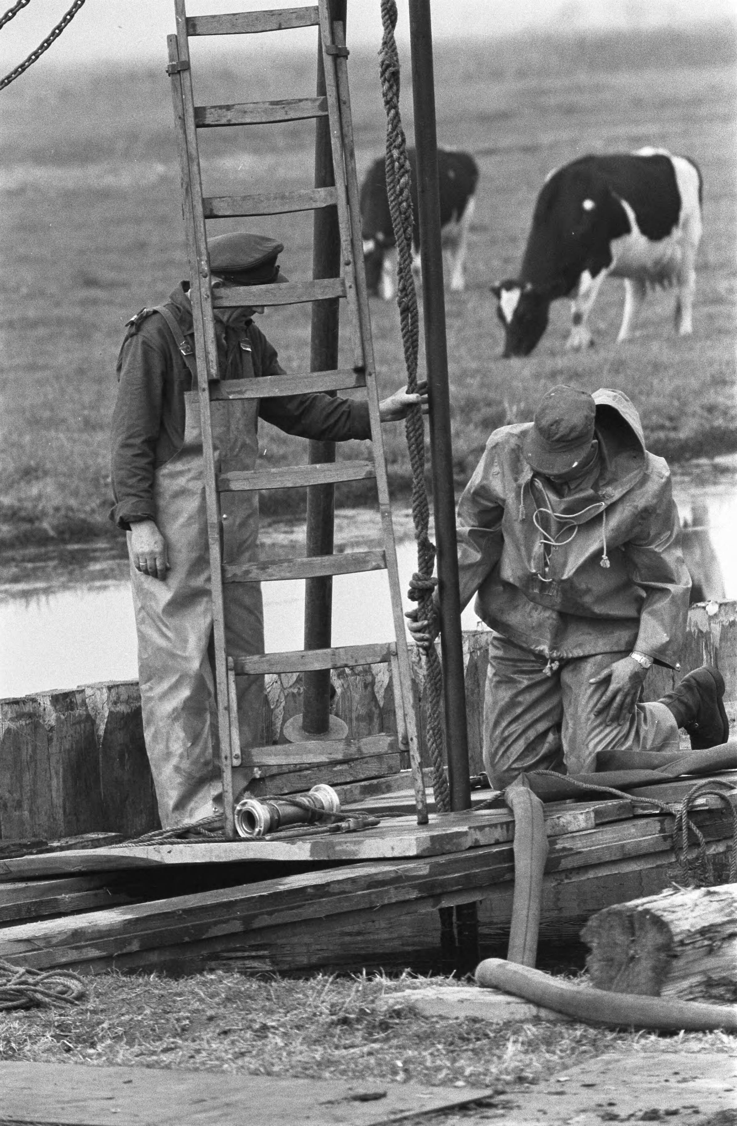 Fotocollectie Anefo — Gat te Wormer — Foto: Rossem, Wim van / Anefo. Licentie: Set B: Rechtenvrij / Publiek Domein. Bron: Nationaal Archief. http://hdl.handle.net/10648/a99fb364-d0b4-102d-bcf8-003048976d84