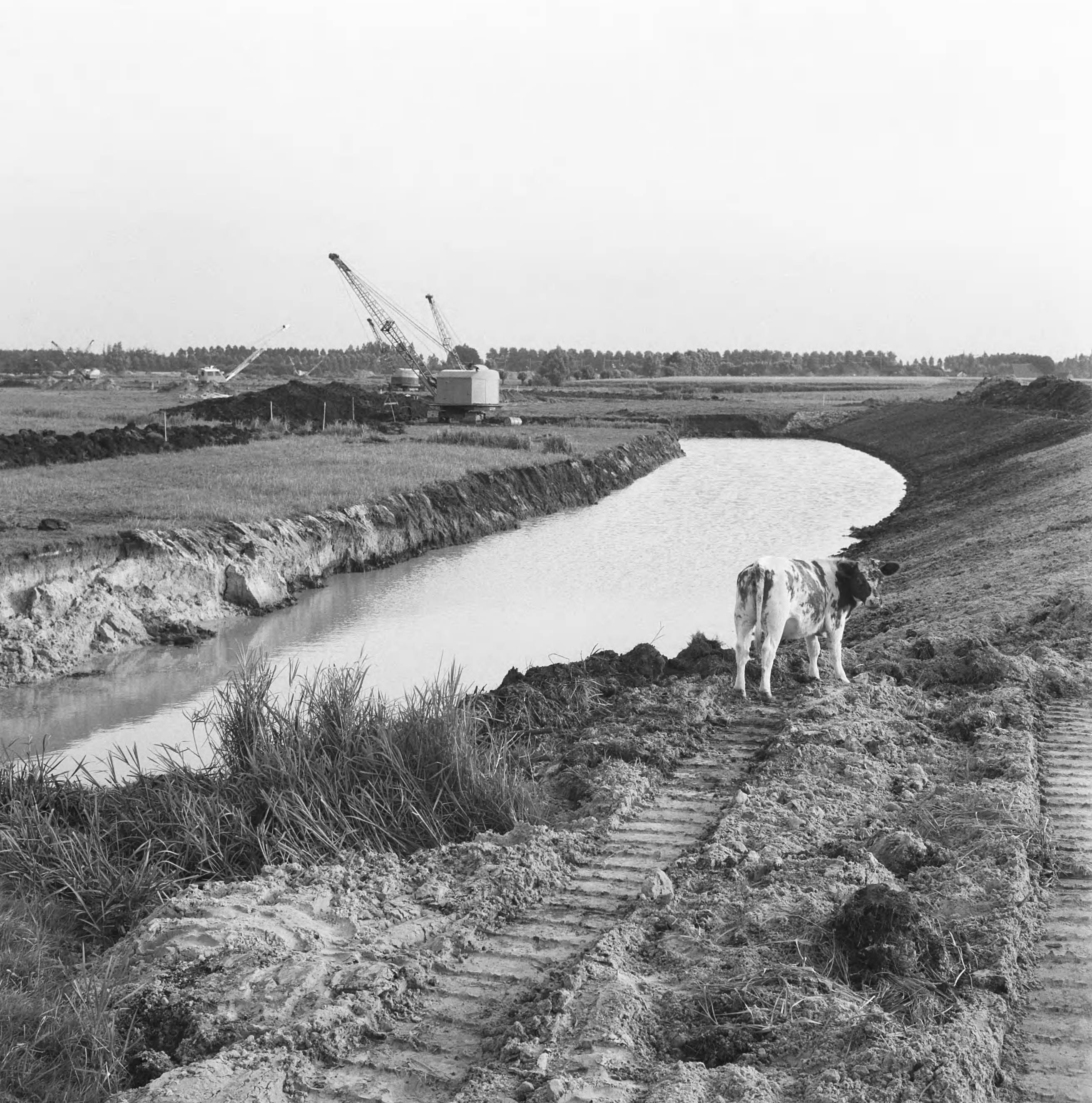 Fotocollectie Nederlandse Heidemaatschappij — Ruilverkaveling Essche Stroom. Op de achtergrond zijn de poralen van de spoorlijn 's-Hertogenbosch-Einhoven nabij Esch zichtbaar — Foto: Wüllschleger, [...] / Heidemij. Licentie: Set B: Rechtenvrij / Publiek Domein. Bron: Nationaal Archief. http://hdl.handle.net/10648/ae742398-d0b4-102d-bcf8-003048976d84