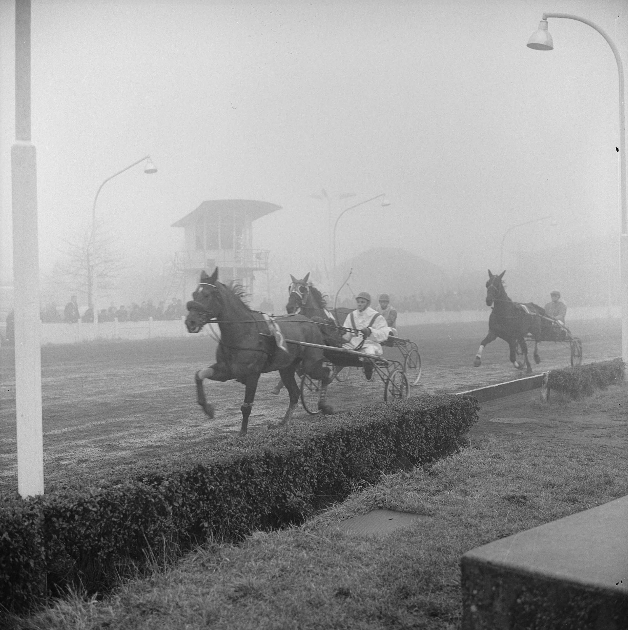 Fotocollectie Anefo — Paardenkoersen te Hilversum. Matadorenprijs [paarden onbekend] — Foto: Koch, Eric / Anefo. Licentie: Set B: Rechtenvrij / Publiek Domein. Bron: Nationaal Archief. http://hdl.handle.net/10648/aa202094-d0b4-102d-bcf8-003048976d84