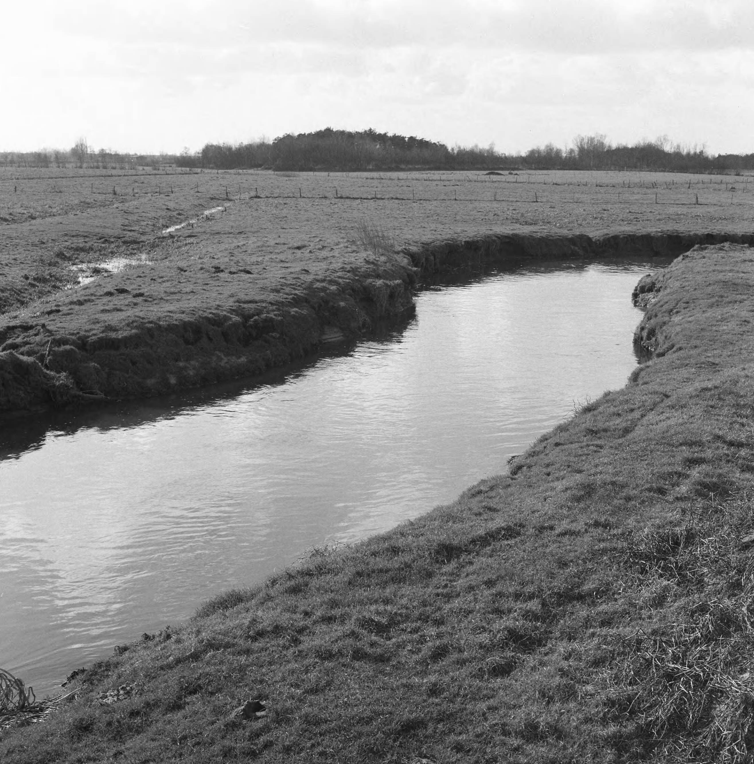 Fotocollectie Nederlandse Heidemaatschappij — Ruilverkaveling Essche Stroom vak III (bestaande toestand). De Essche Stroom in de nabijheid van de grens Vak II en Vak III — Foto: Wüllschleger, [...] / Heidemij. Licentie: Set B: Rechtenvrij / Publiek Domein. Bron: Nationaal Archief. http://hdl.handle.net/10648/ae7457f0-d0b4-102d-bcf8-003048976d84
