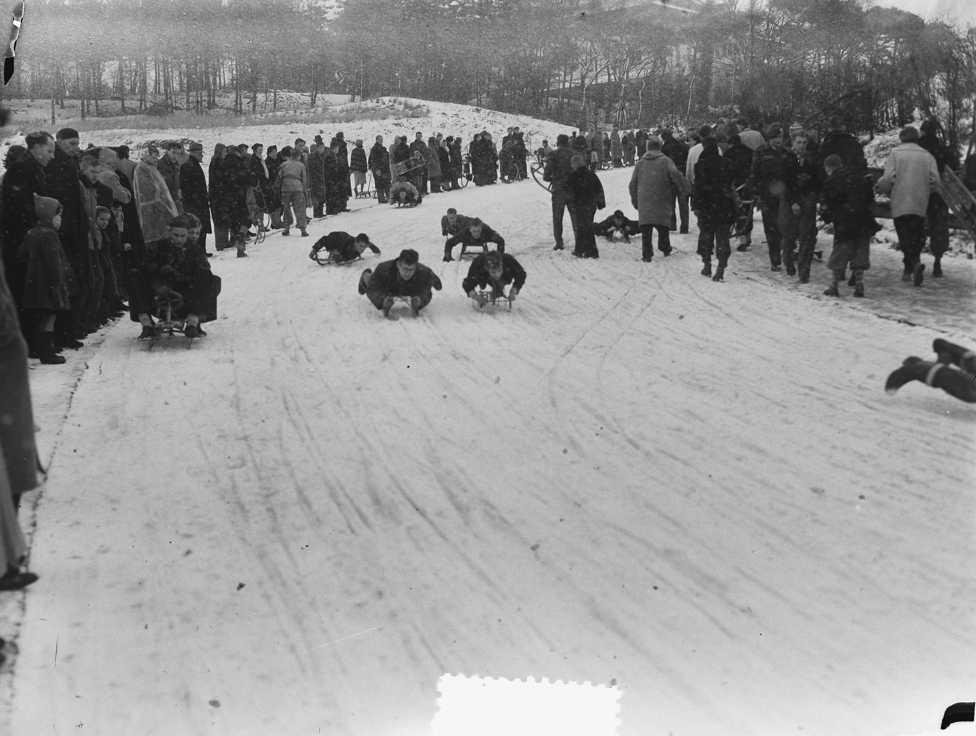 Fotocollectie Anefo — Sneeuwfeest op het Kopje van Bloemendaal — Foto: Pot, Harry / Anefo. Licentie: Set B: Rechtenvrij / Publiek Domein. Bron: Nationaal Archief. http://hdl.handle.net/10648/a8f4ee84-d0b4-102d-bcf8-003048976d84