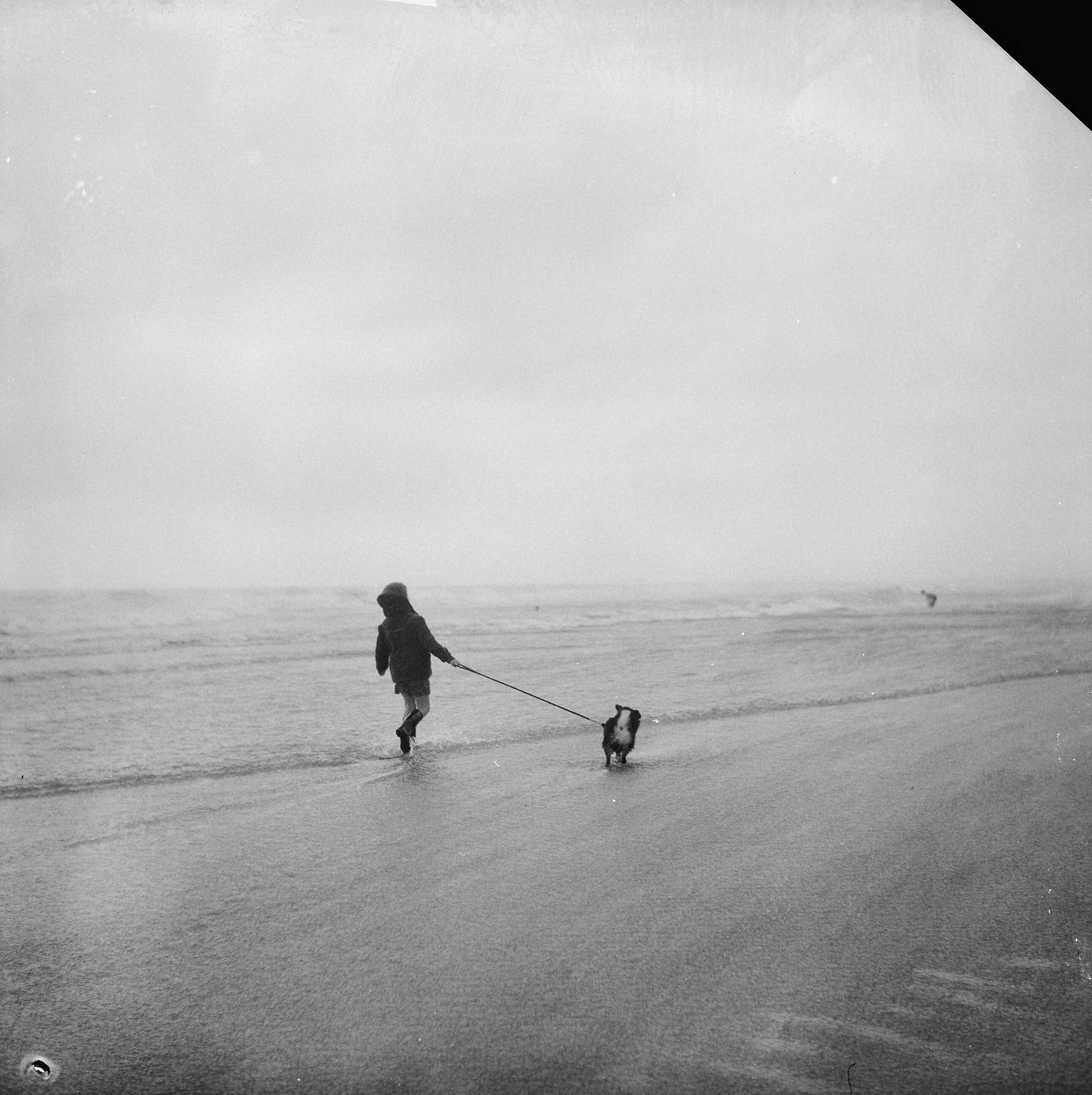 Fotocollectie Anefo — Strand van Scheveningen tijdens slecht weer. Jongetje loopt met hond op het strand langs zee — Foto: Koch, Eric / Anefo. Licentie: Set B: Rechtenvrij / Publiek Domein. Bron: Nationaal Archief. http://hdl.handle.net/10648/a9e02db8-d0b4-102d-bcf8-003048976d84