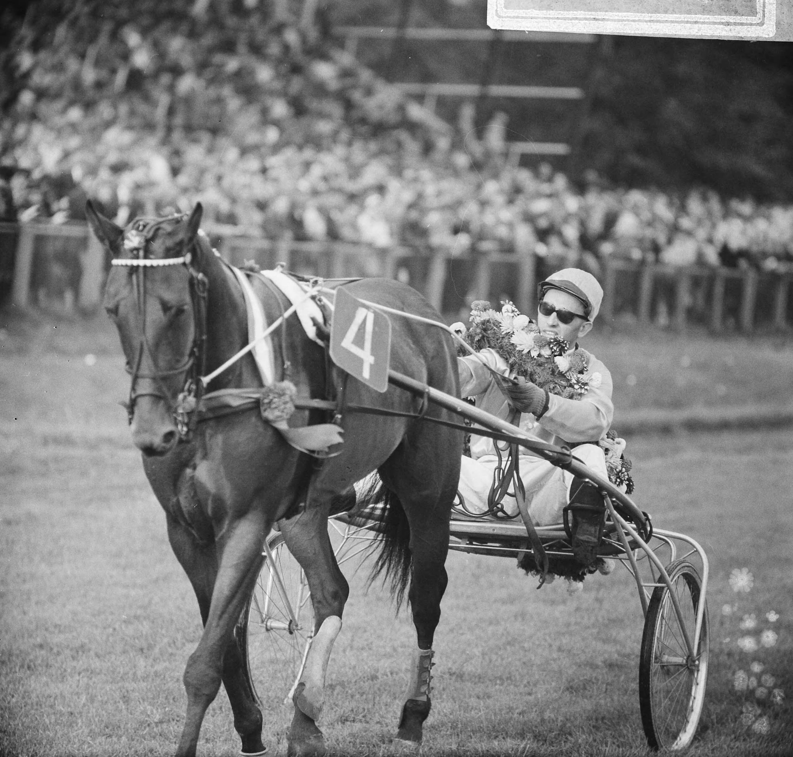 Fotocollectie Anefo — Draversinterland Nederland-België op Duindigt, draverij over 1600 meter, de koers om de Sterrebeekprijs (5 tot 9 jarigen), gewonnen door merrie YYV, gereden door J.K. van der Veen uit Hardegarijp — Foto: Nijs, Jac. de / Anefo. Licentie: Set B: Rechtenvrij / Publiek Domein. Bron: Nationaal Archief. http://hdl.handle.net/10648/aac222cc-d0b4-102d-bcf8-003048976d84
