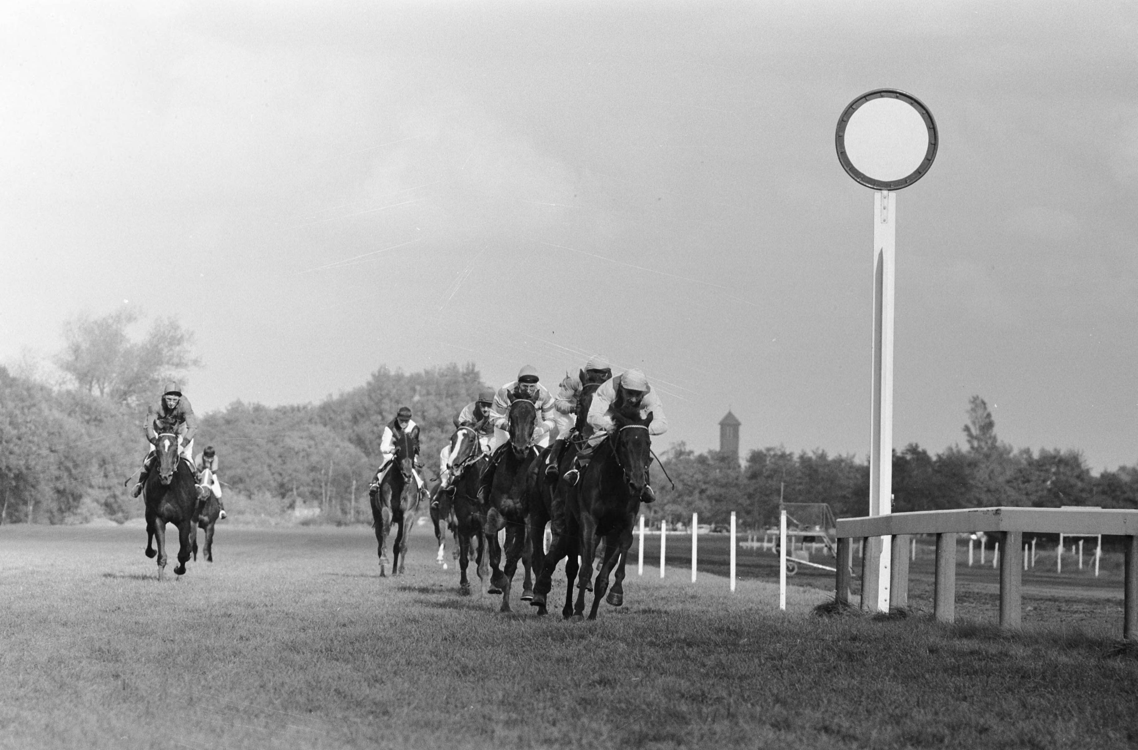 Fotocollectie Anefo — [een koers paardenrennen op Duindigt] — Foto: Pot, Harry / Anefo. Licentie: Set B: Rechtenvrij / Publiek Domein. Bron: Nationaal Archief. http://hdl.handle.net/10648/a9e48d40-d0b4-102d-bcf8-003048976d84