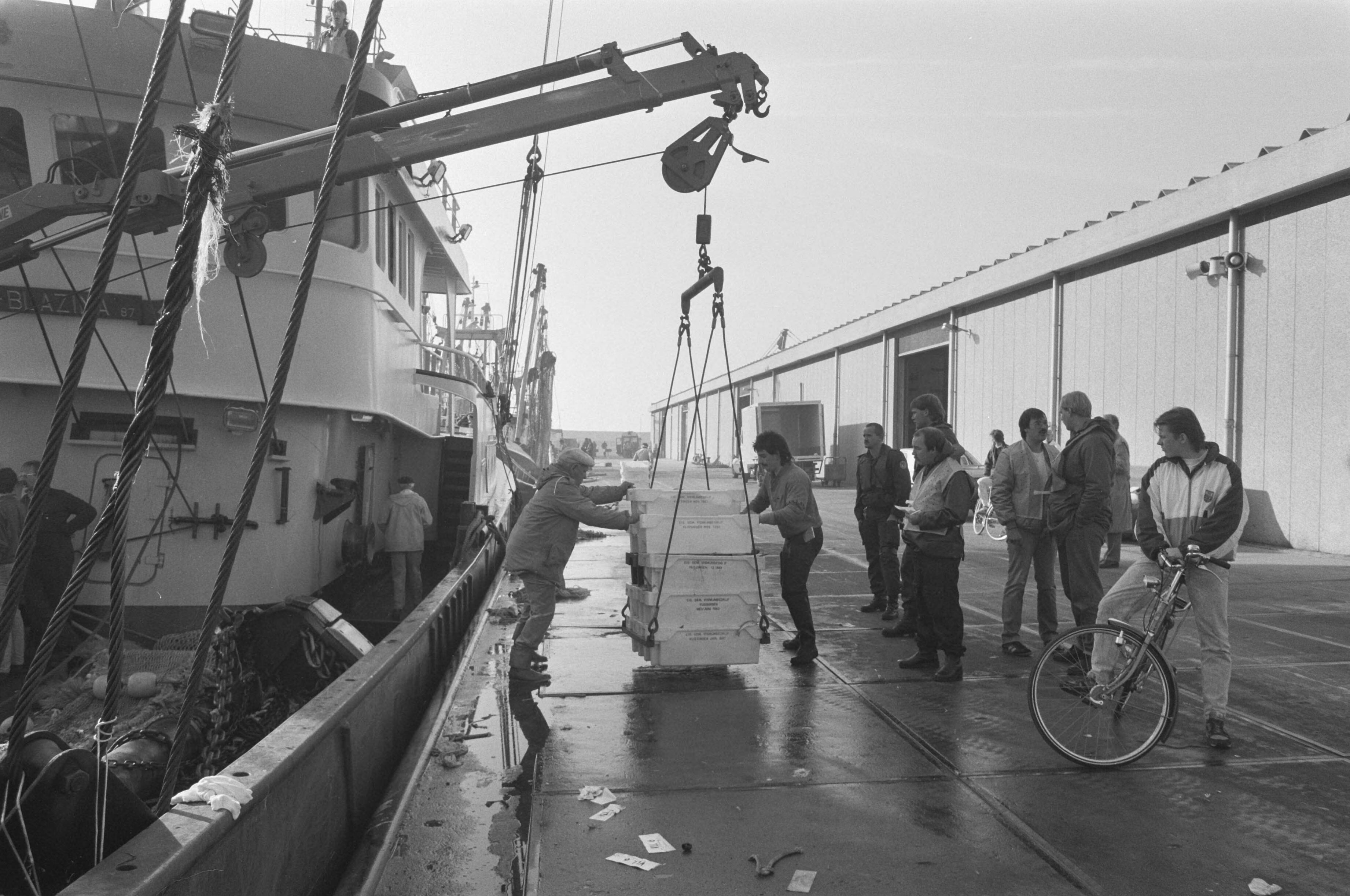 Fotocollectie Anefo — Enige honderden leden Mobiele Eenheid assisteren controleurs AID bij aanvoer visvangsten in Vlissingen — Foto: Croes, Rob C. / Anefo. Licentie: Set B: Rechtenvrij / Publiek Domein. Bron: Nationaal Archief. http://hdl.handle.net/10648/ad6df8e8-d0b4-102d-bcf8-003048976d84