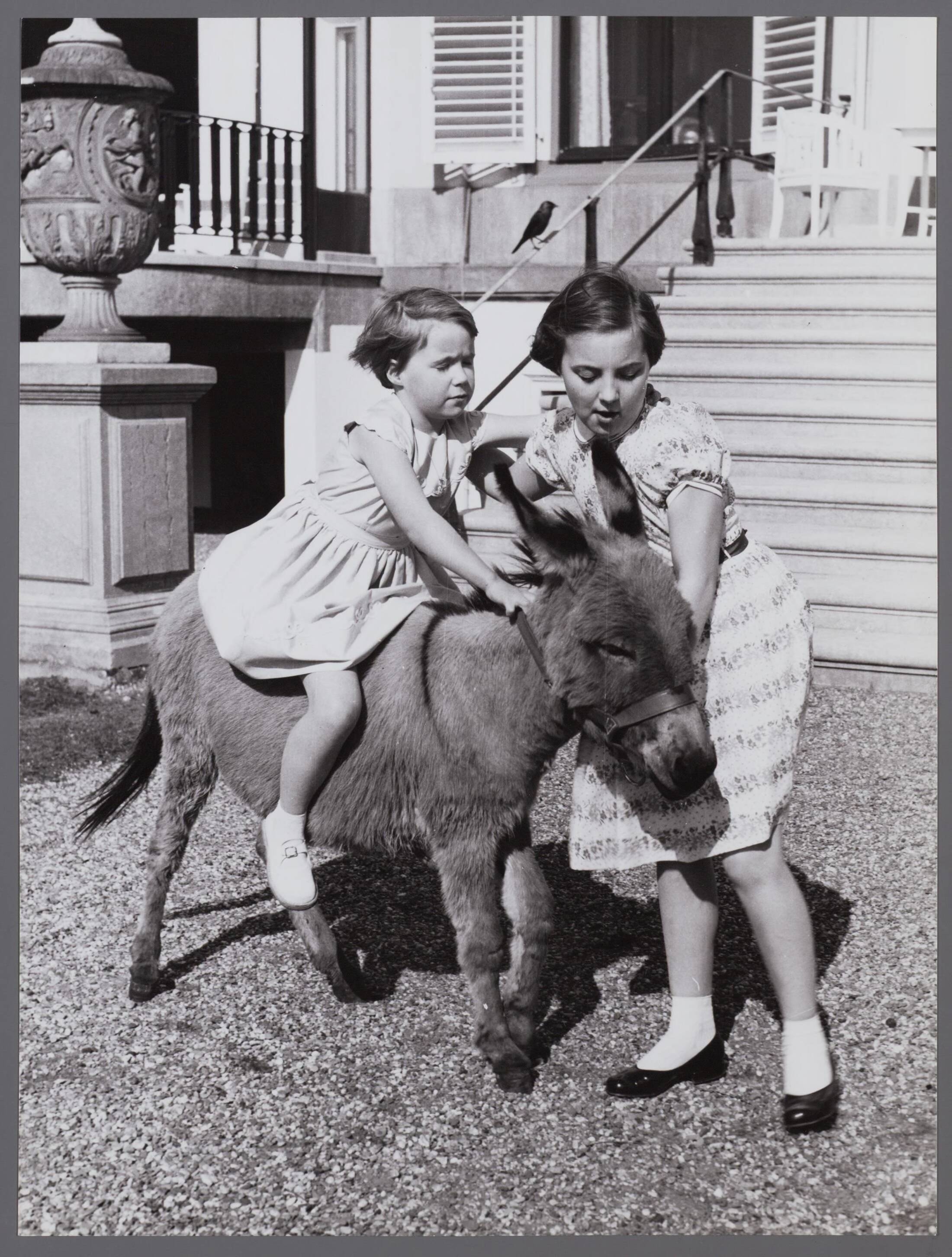 Fotocollectie RVD / Koninklijk Huis — Prinses Margriet en prinses Marijke zittend op een ezel bij Paleis Soestdijk — Foto: Reijken, Tiemen van der / RVD. Licentie: Set B: Rechtenvrij / Publiek Domein. Bron: Nationaal Archief. http://hdl.handle.net/10648/afae5b02-d0b4-102d-bcf8-003048976d84