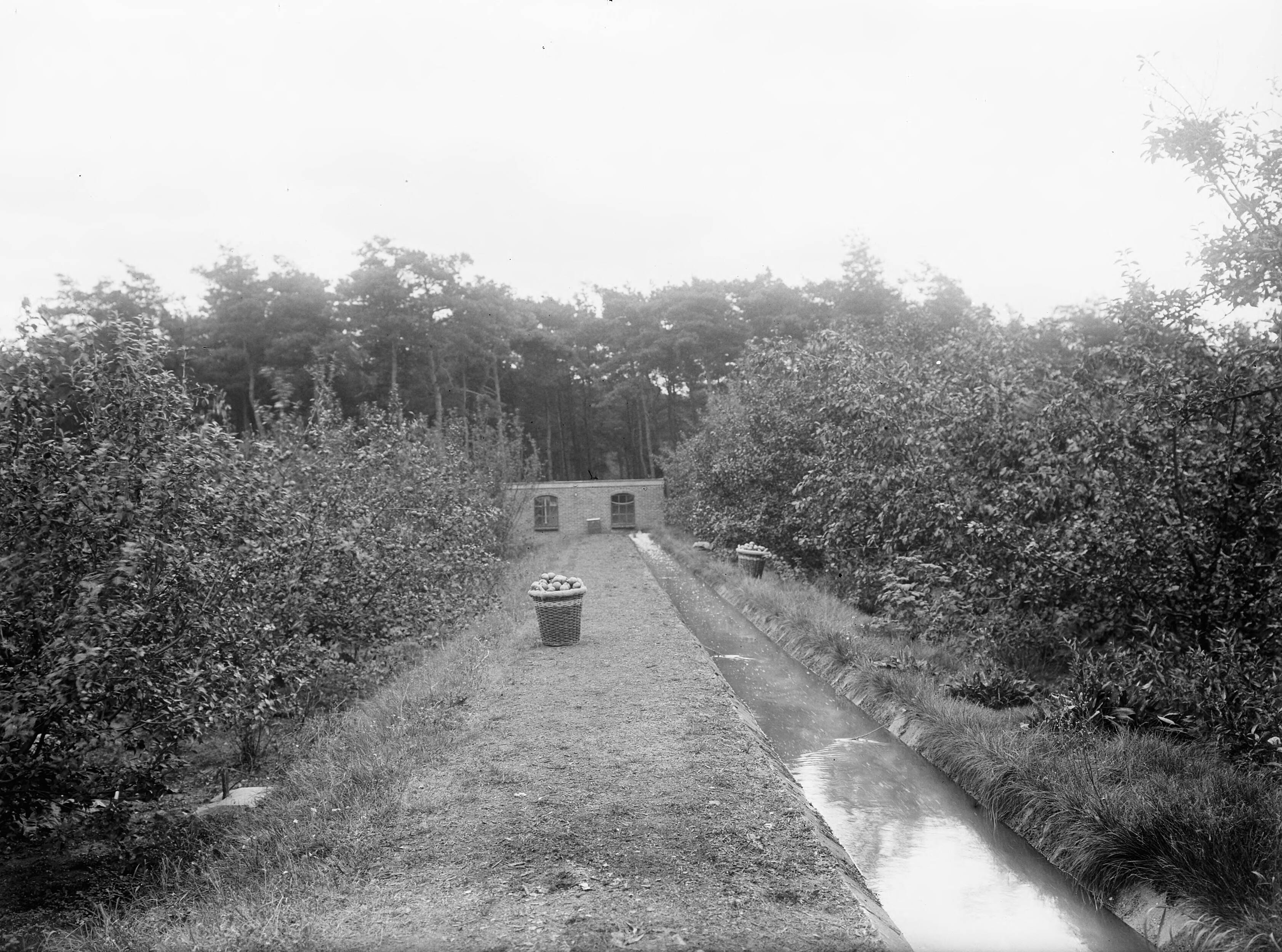 Fotocollectie Nederlandse Heidemaatschappij — Fruitbomen in de tuin van Huize Den Burgh te Rijswijk met een irrigatiekanaal — Foto: Fotograaf Onbekend / Heidemij. Licentie: Set B: Rechtenvrij / Publiek Domein. Bron: Nationaal Archief. http://hdl.handle.net/10648/ae41d334-d0b4-102d-bcf8-003048976d84