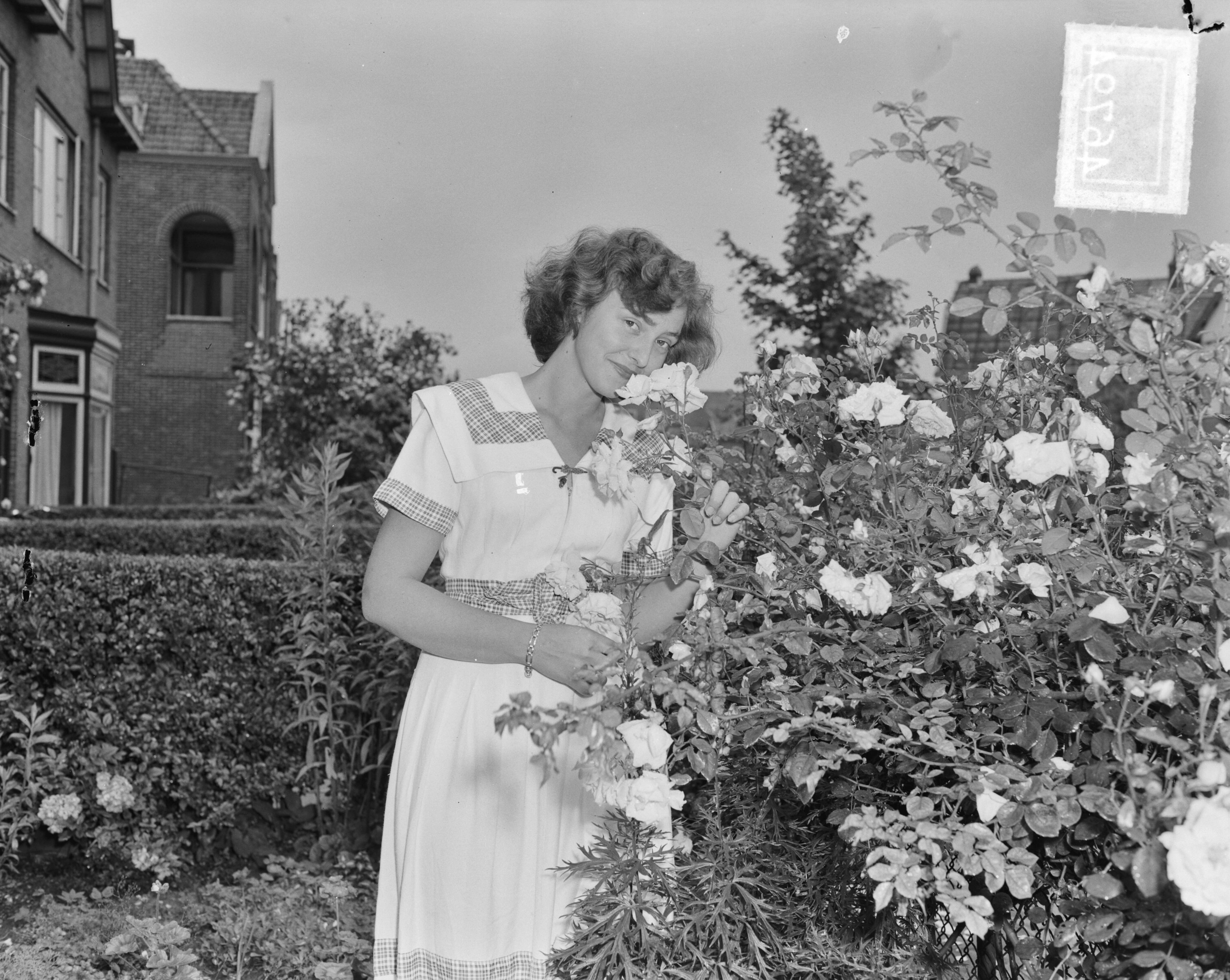 Beppie Landmeter bloemenkoningin van Haarlem — Foto: Pot, Harry / Anefo. — Licentie: Set B: Rechtenvrij / Publiek Domein. Bron: Nationaal Archief. http://hdl.handle.net/10648/a8ecf030-d0b4-102d-bcf8-003048976d84