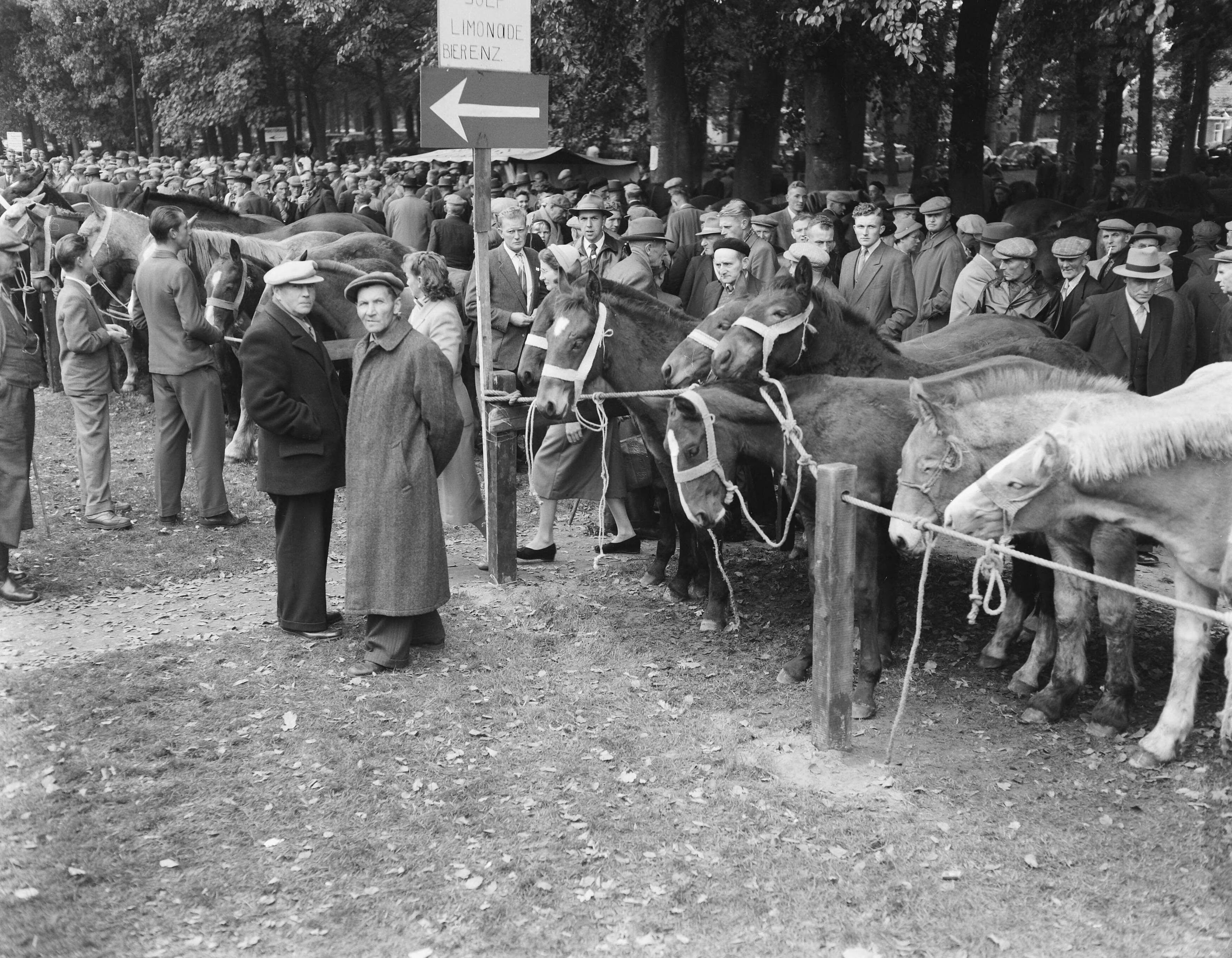 Fotocollectie Anefo — Jaarlijkse paardenmarkt in Zuidlaren — Foto: Rossem, Wim van / Anefo. Licentie: Set B: Rechtenvrij / Publiek Domein. Bron: Nationaal Archief. http://hdl.handle.net/10648/a96c64c8-d0b4-102d-bcf8-003048976d84