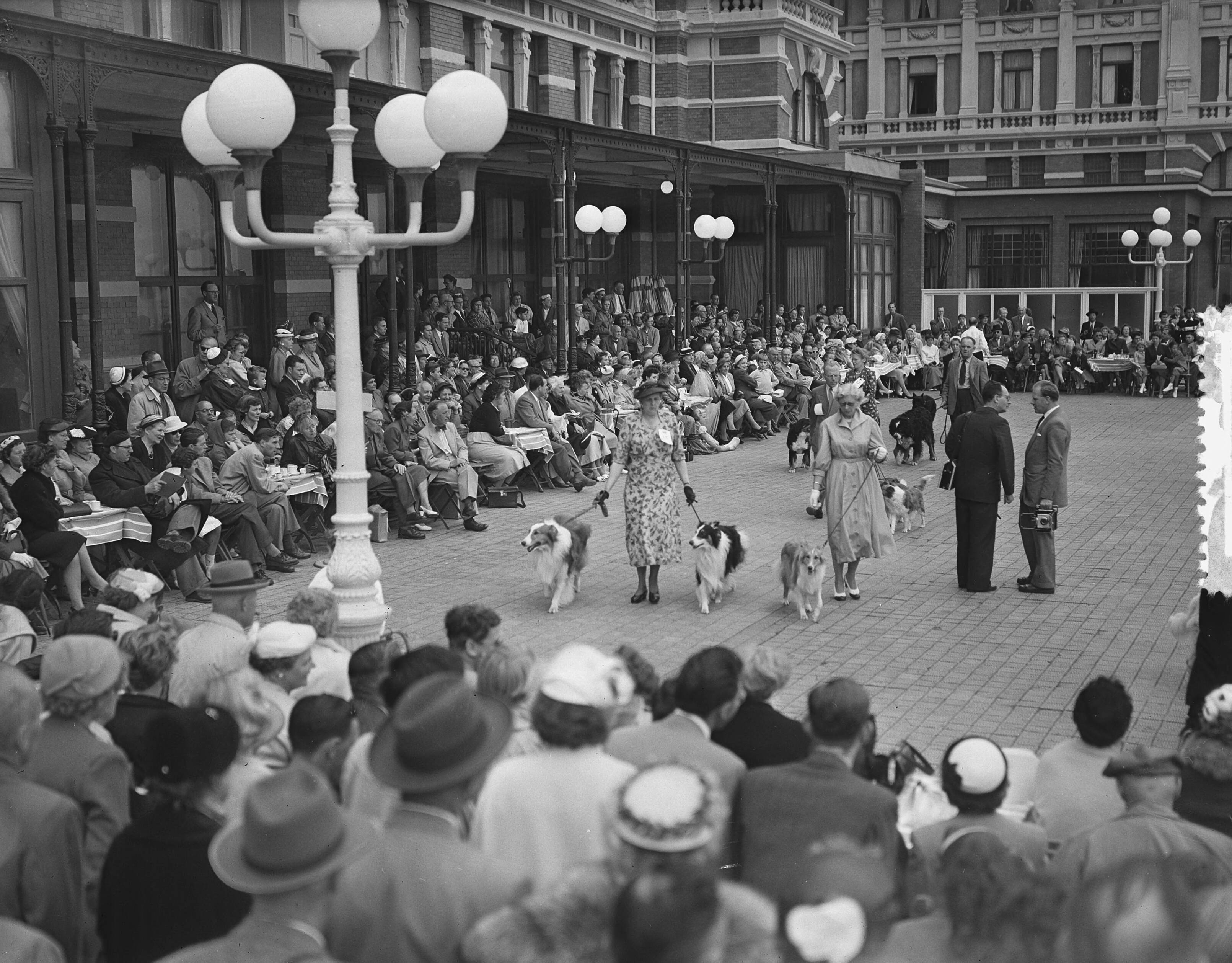 Fotocollectie Anefo — Hondenparade terras Kurhaus Scheveningen — Foto: Bilsen, Joop van / Anefo. Licentie: Set B: Rechtenvrij / Publiek Domein. Bron: Nationaal Archief. http://hdl.handle.net/10648/a939286a-d0b4-102d-bcf8-003048976d84