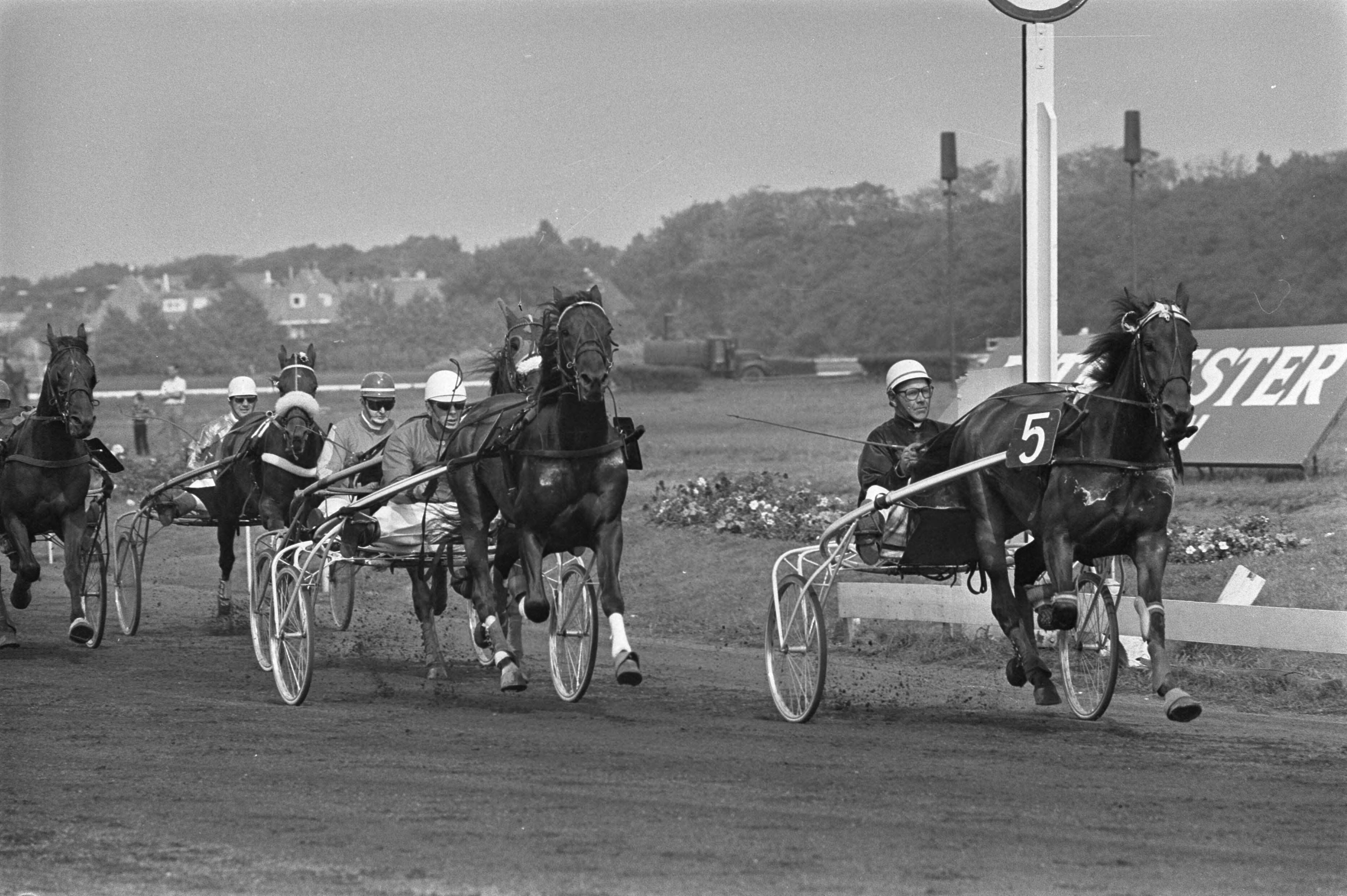 Fotocollectie Anefo — Derby voor dravers op Duindigt; rechts winnaar "Ironie" in aktie — Foto: Mieremet, Rob / Anefo. Licentie: Set B: Rechtenvrij / Publiek Domein. Bron: Nationaal Archief. http://hdl.handle.net/10648/ab9e706a-d0b4-102d-bcf8-003048976d84