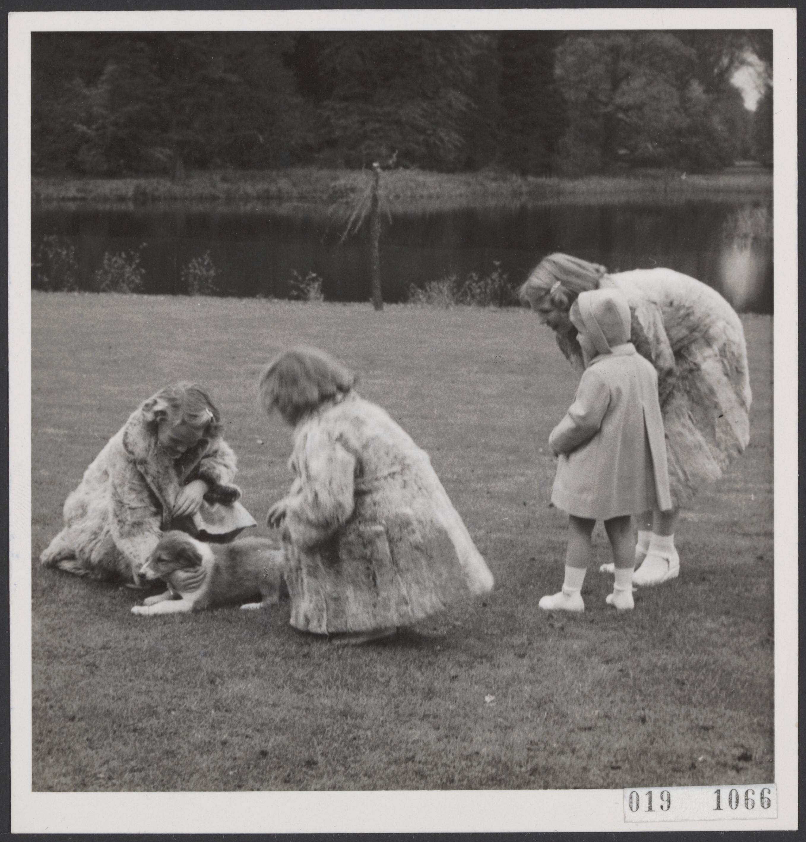 Fotocollectie Elsevier Binnenland — De prinsessen met de jonge hond van prinses Marijke (Christina) in de tuin van paleis Soestdijk te Baarn — Foto: Koot, Max / RVD. Licentie: Set B: Rechtenvrij / Publiek Domein. Bron: Nationaal Archief. http://hdl.handle.net/10648/adc882cc-d0b4-102d-bcf8-003048976d84