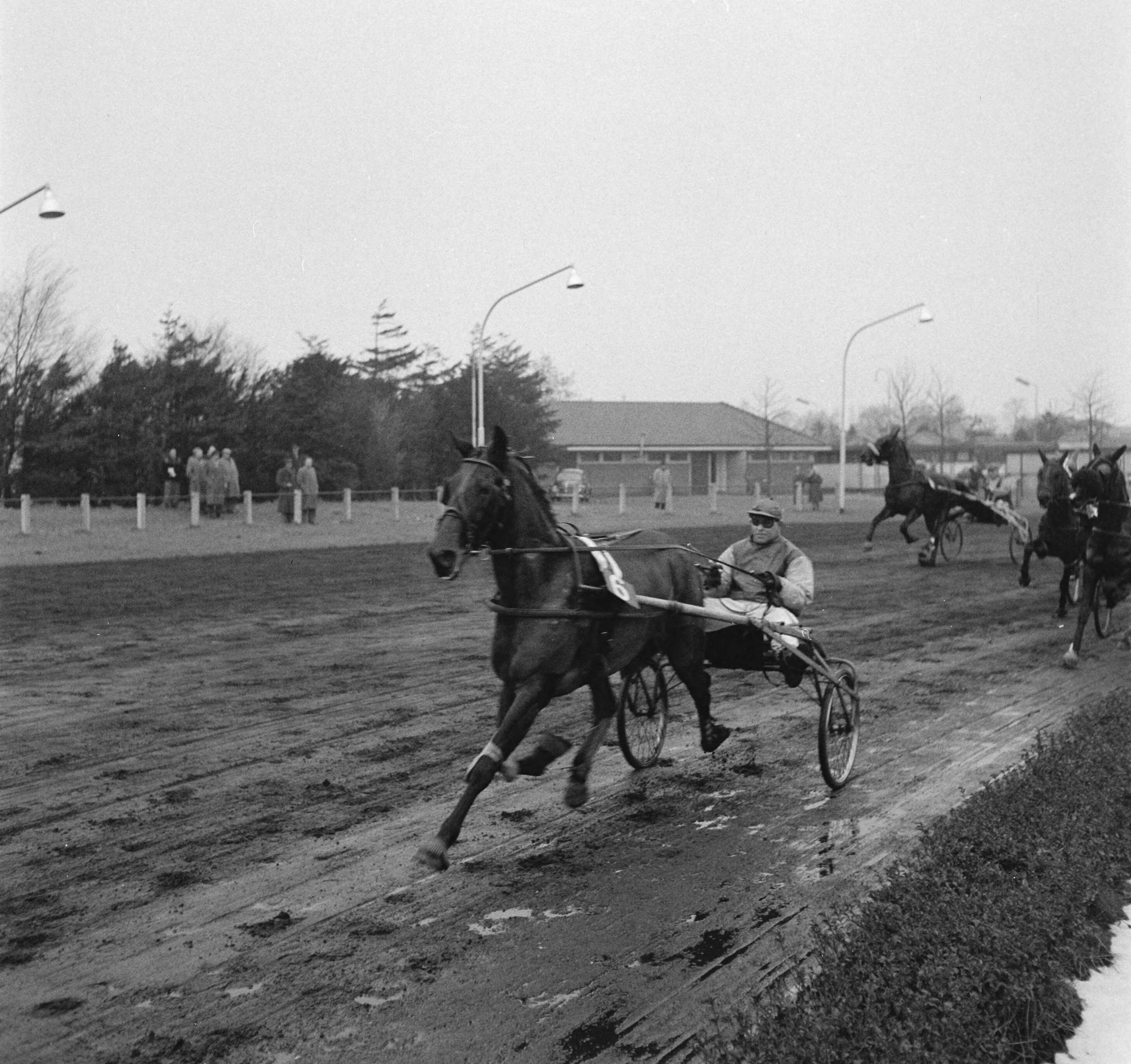 Fotocollectie Anefo — Draverijen Hilversum, Gentleman prijs, winnaar M. Vergay met Sergeant — Foto: Behrens, Herbert F. / Anefo. Licentie: Set B: Rechtenvrij / Publiek Domein. Bron: Nationaal Archief. http://hdl.handle.net/10648/a942462a-d0b4-102d-bcf8-003048976d84