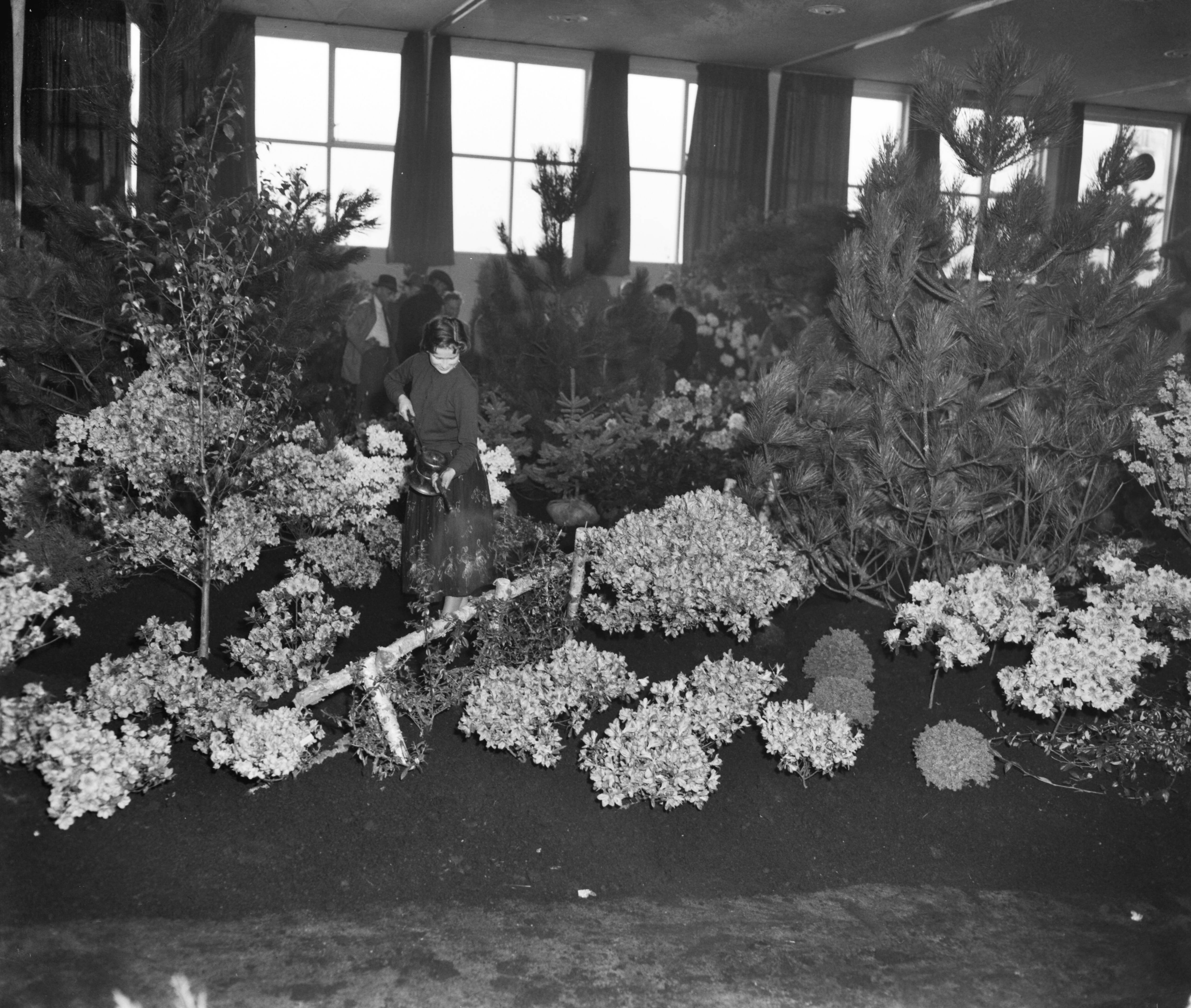 Fotocollectie Anefo — Inrichten kwekersvaktentoonstelling in Gebouw Florida te Boskoop — Foto: Behrens, Herbert F. / Anefo. Licentie: Set B: Rechtenvrij / Publiek Domein. Bron: Nationaal Archief. http://hdl.handle.net/10648/a979ed00-d0b4-102d-bcf8-003048976d84