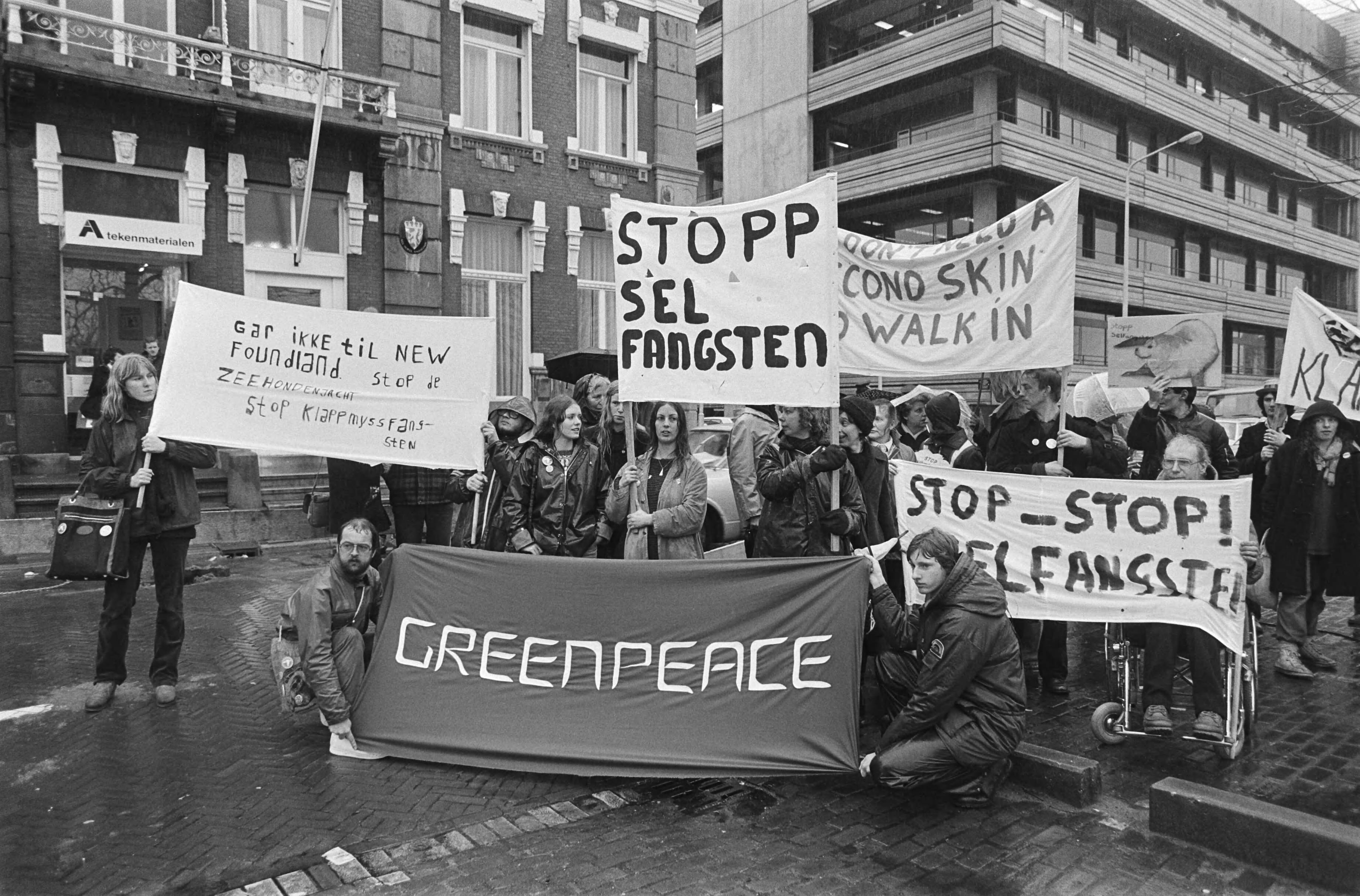 Fotocollectie Anefo — Leden Greenpeace en WNF bieden bij Noorse Ambassade in Den Haag petitie aan uit protest tegen jacht op klapmuts en zadelrobben bij New Foundland — Foto: Dijk, Hans van / Anefo. Licentie: Set B: Rechtenvrij / Publiek Domein. Bron: Nationaal Archief. http://hdl.handle.net/10648/acf6bcd8-d0b4-102d-bcf8-003048976d84