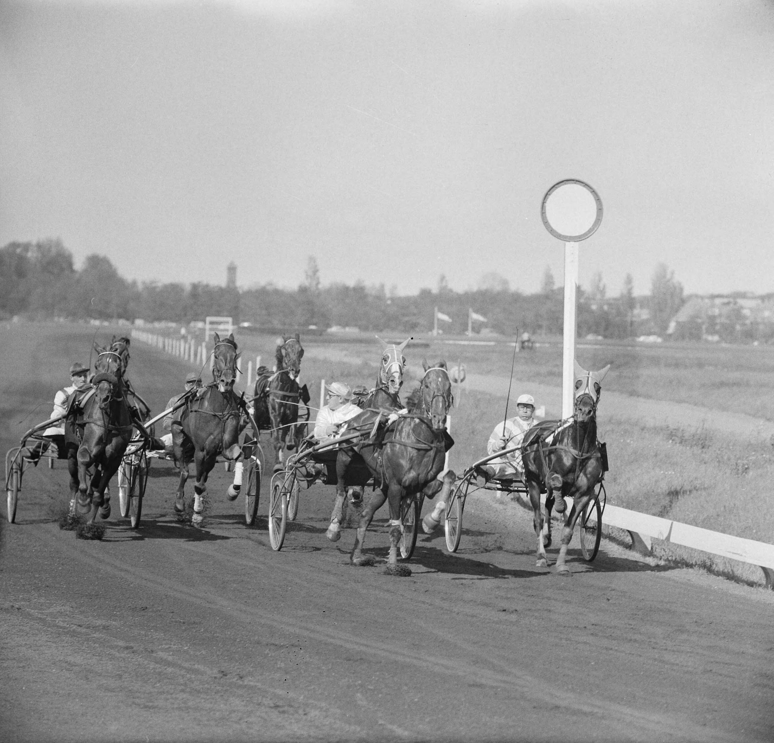 Fotocollectie Anefo — Derby op Duindigt (Flocondor) — Foto: Nijs, Jac. de / Anefo. Licentie: Set B: Rechtenvrij / Publiek Domein. Bron: Nationaal Archief. http://hdl.handle.net/10648/aa0b0a60-d0b4-102d-bcf8-003048976d84