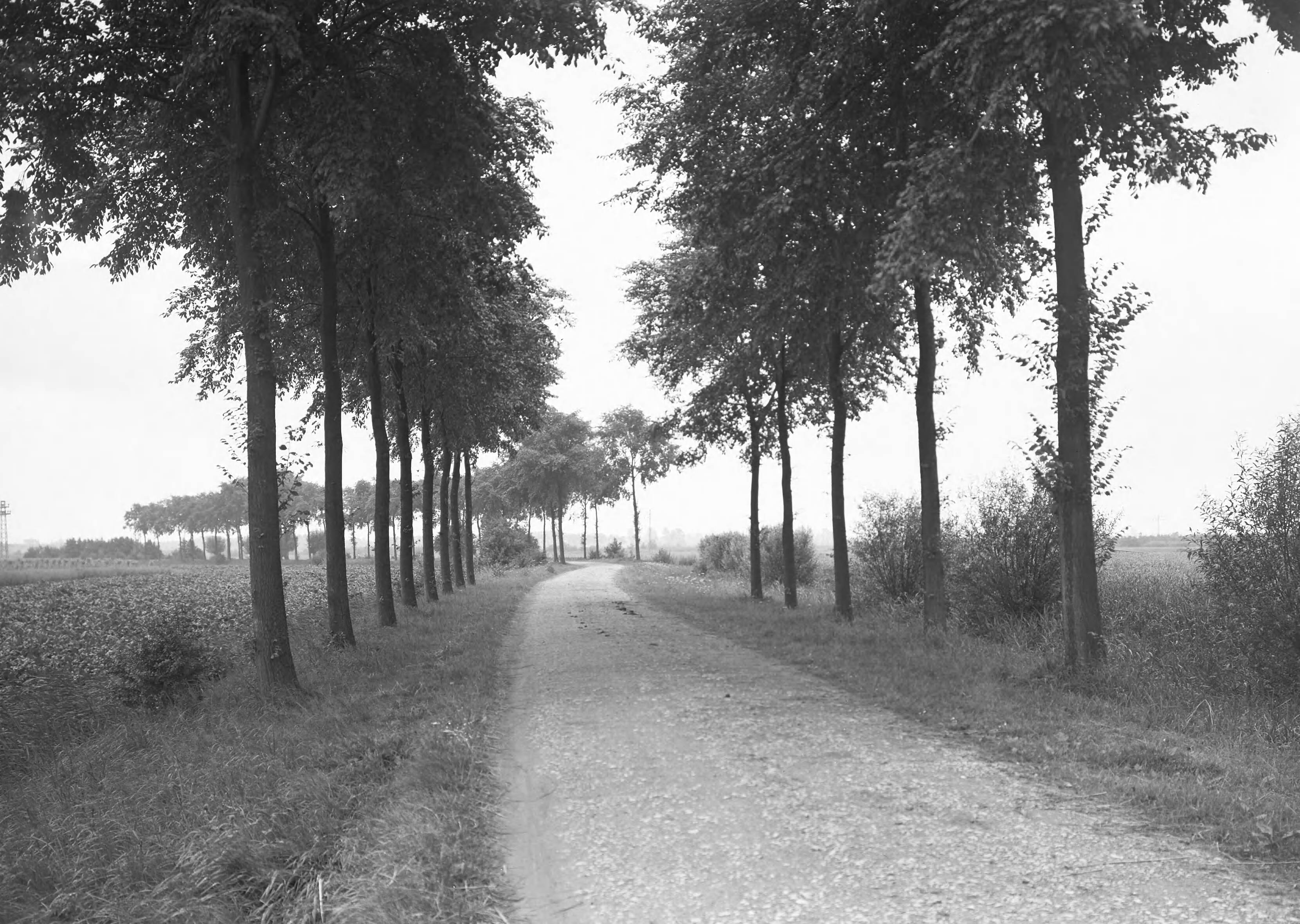 Fotocollectie Nederlandse Heidemaatschappij — Oude Weg - Haagse Beemden — Foto: Eyssen, [...] / Heidemij. Licentie: Set B: Rechtenvrij / Publiek Domein. Bron: Nationaal Archief. http://hdl.handle.net/10648/ae6ef7b0-d0b4-102d-bcf8-003048976d84