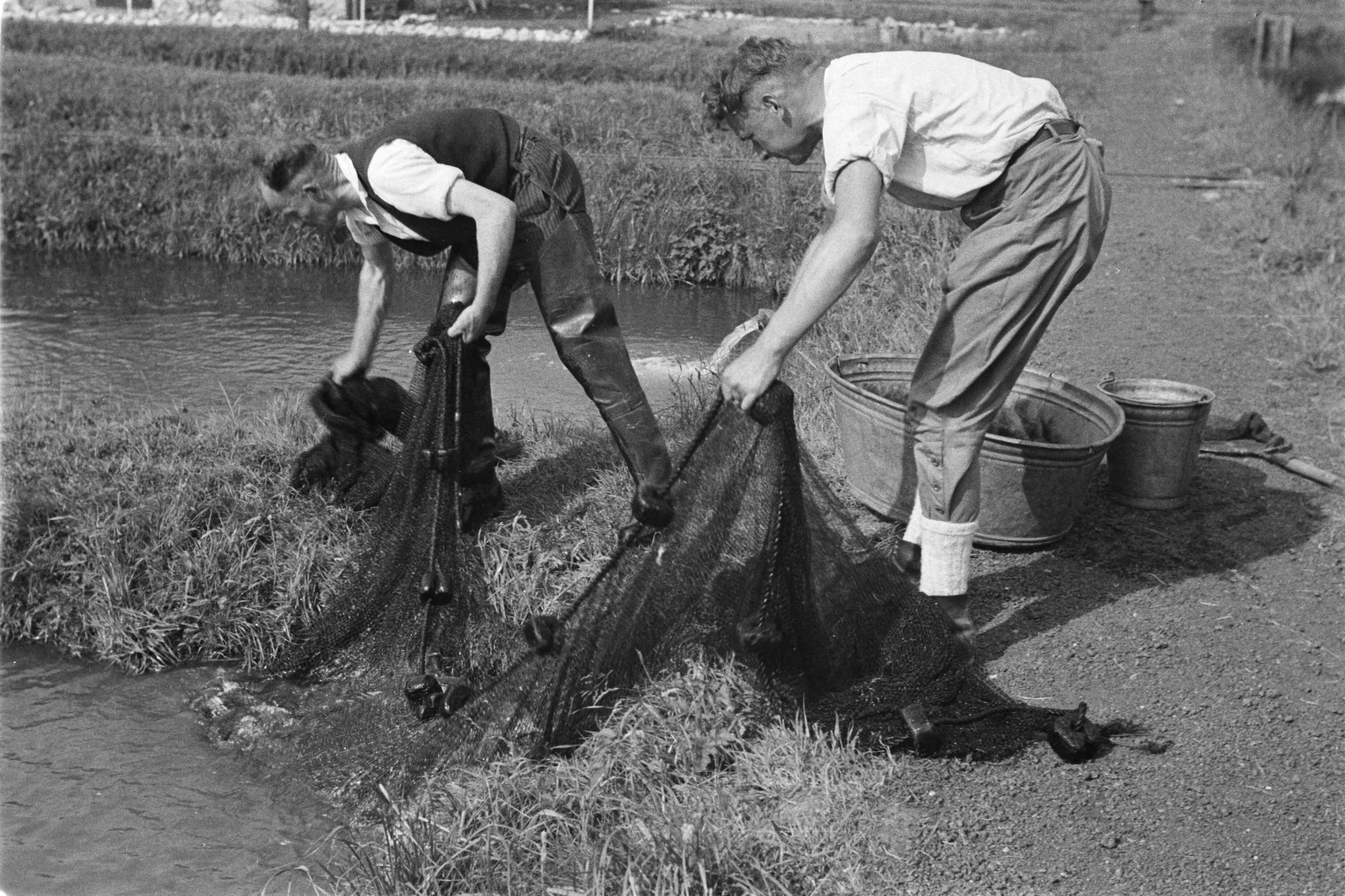 Fotocollectie Nederlandse Heidemaatschappij — Gulpen|visserij |viskwekerijen |forellenvijvers |forellenzegen |aanhalen — Foto: Fotograaf Onbekend / Heidemij. Licentie: Set B: Rechtenvrij / Publiek Domein. Bron: Nationaal Archief. http://hdl.handle.net/10648/ae89ee08-d0b4-102d-bcf8-003048976d84
