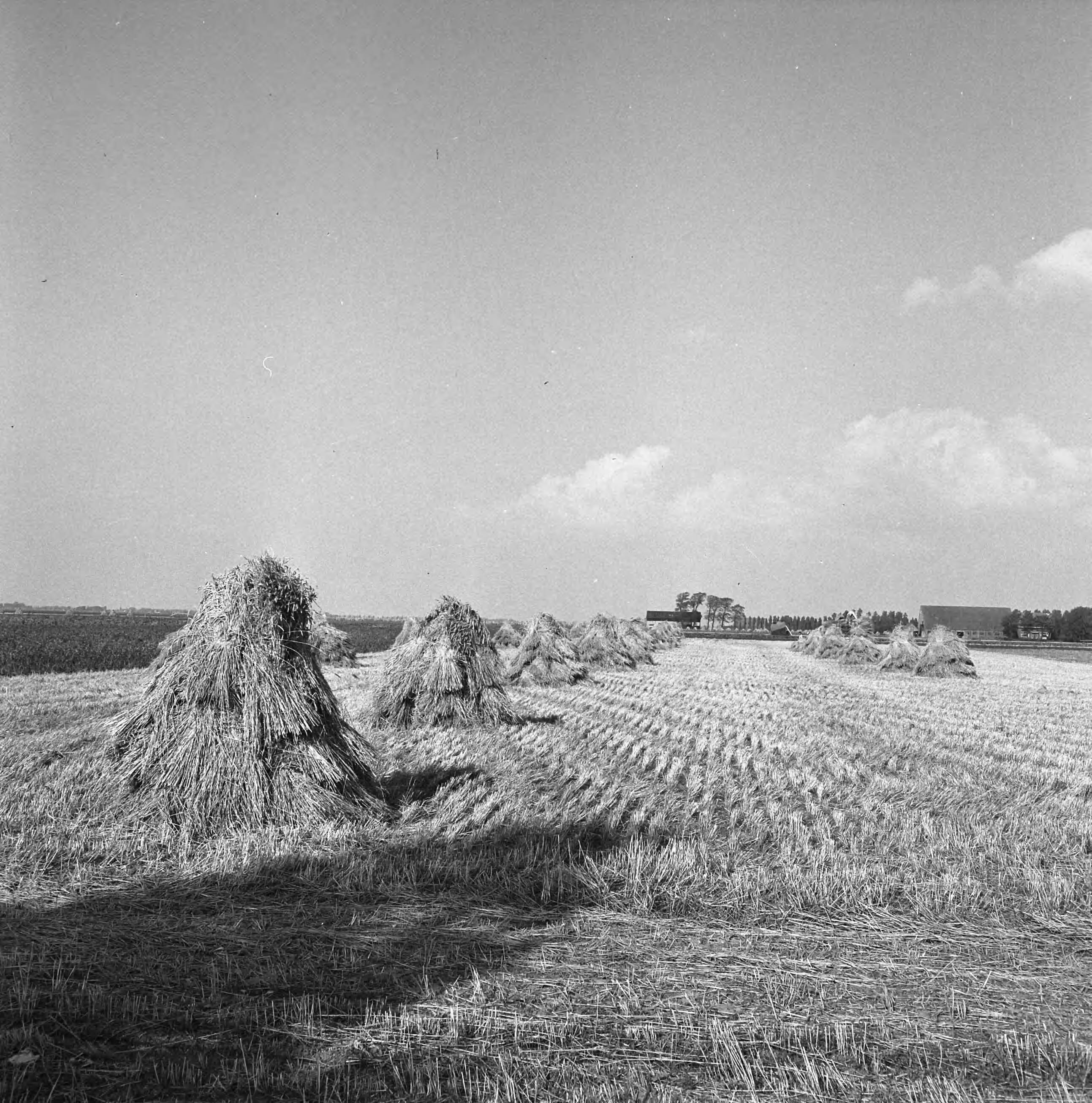 Fotocollectie Nederlandse Heidemaatschappij — Gezicht op Leimuiden — Foto: Eyssen, [...] / Heidemij. Licentie: Set B: Rechtenvrij / Publiek Domein. Bron: Nationaal Archief. http://hdl.handle.net/10648/ae7bb040-d0b4-102d-bcf8-003048976d84