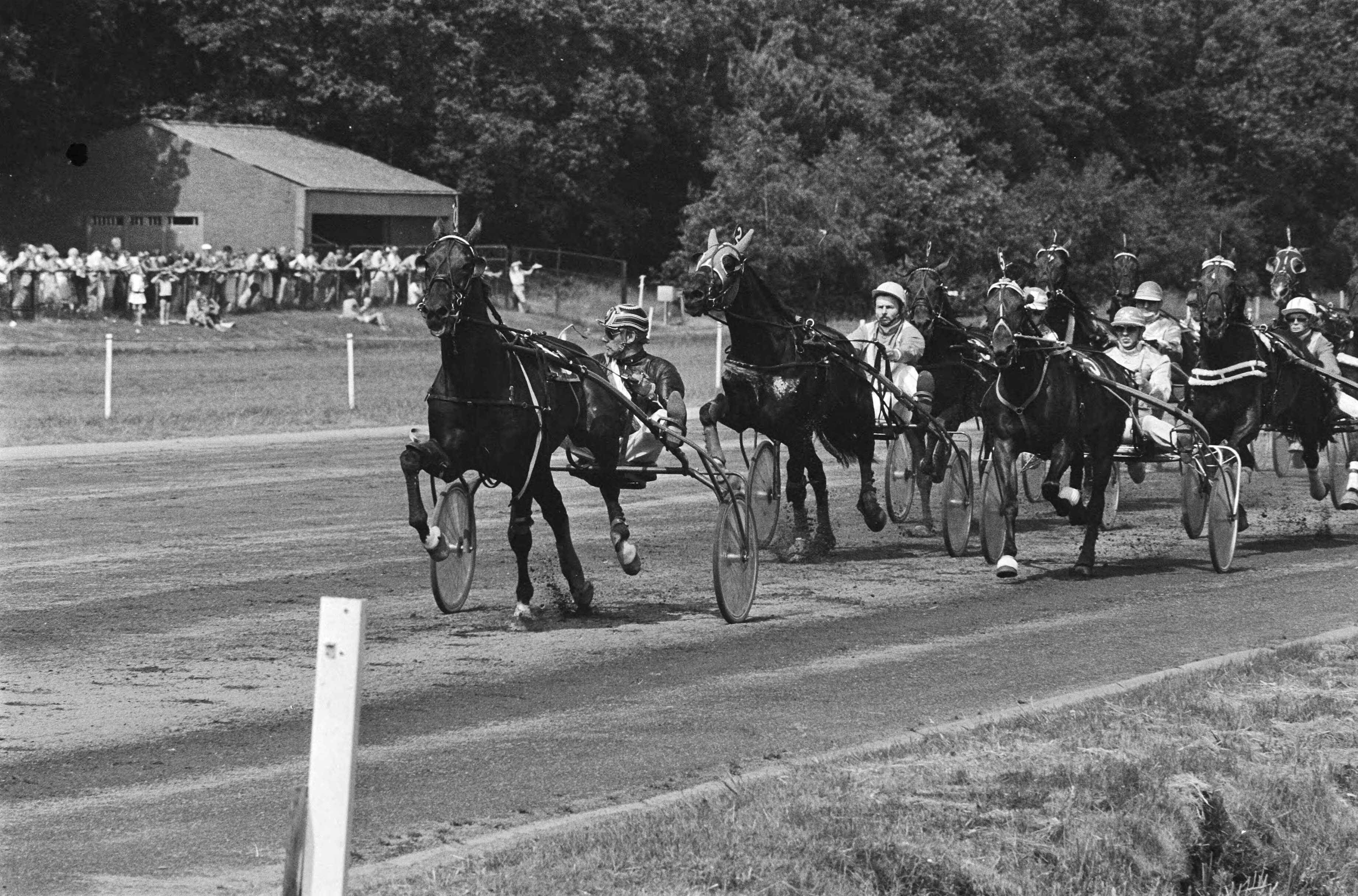 Grote Prijs der Lage Landen op paardensportbaan Duindigt — Snack Bar met Netterman aan kop op weg naar overwinning — Foto: Croes, Rob C. / Anefo. Licentie: Set B: Rechtenvrij / Publiek Domein. Bron: Nationaal Archief. http://hdl.handle.net/10648/ad2b14b0-d0b4-102d-bcf8-003048976d84