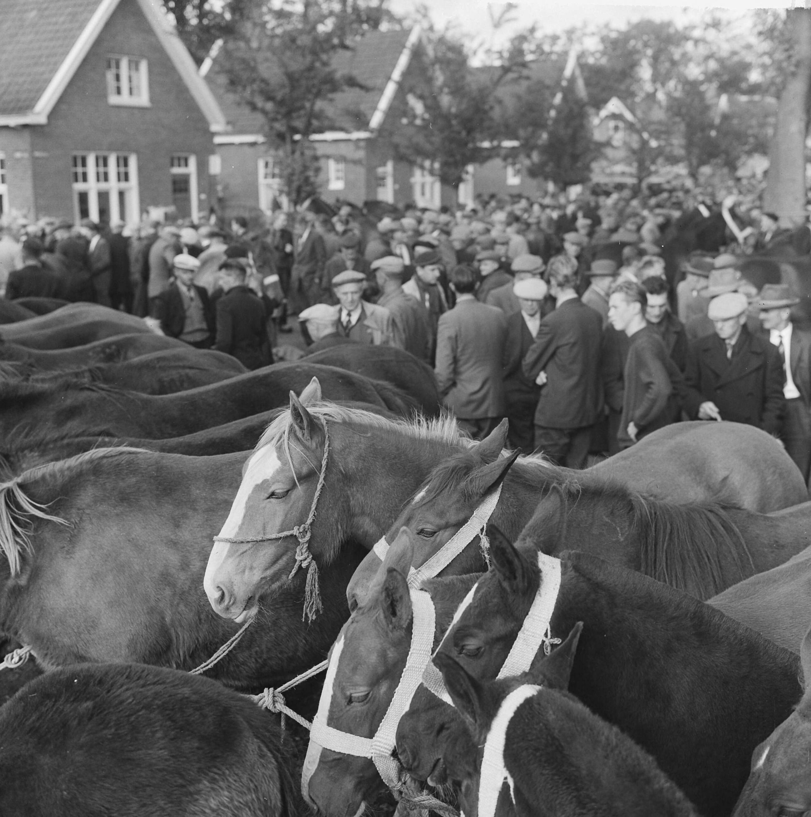 Fotocollectie Anefo — Zuidlaarder Paardenmarkt. Overzicht drukte op de markt — Foto: Walta, Winfried / Anefo. Licentie: Set B: Rechtenvrij / Publiek Domein. Bron: Nationaal Archief. http://hdl.handle.net/10648/aa49c782-d0b4-102d-bcf8-003048976d84