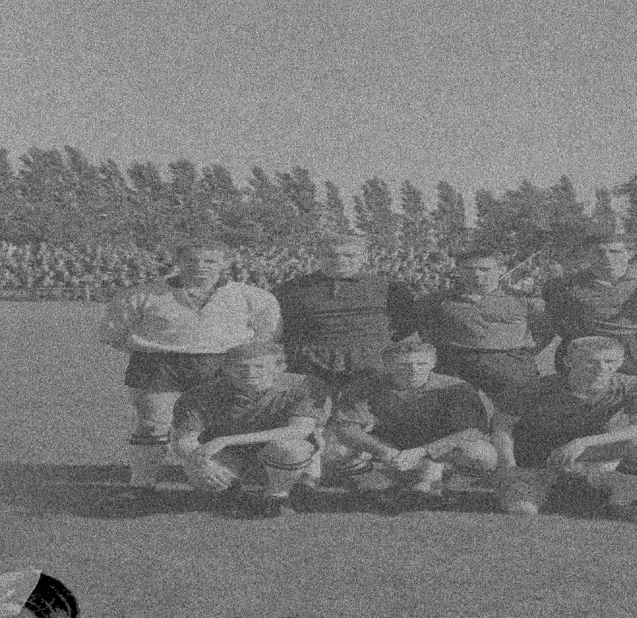 Fotocollectie Anefo — Voetbal. NAC tegen Sittardia 2-2, elftal NAC — Foto: Nijs, Jac. de / Anefo. Licentie: Set B: Rechtenvrij / Publiek Domein. Bron: Nationaal Archief. http://hdl.handle.net/10648/aa78f98a-d0b4-102d-bcf8-003048976d84