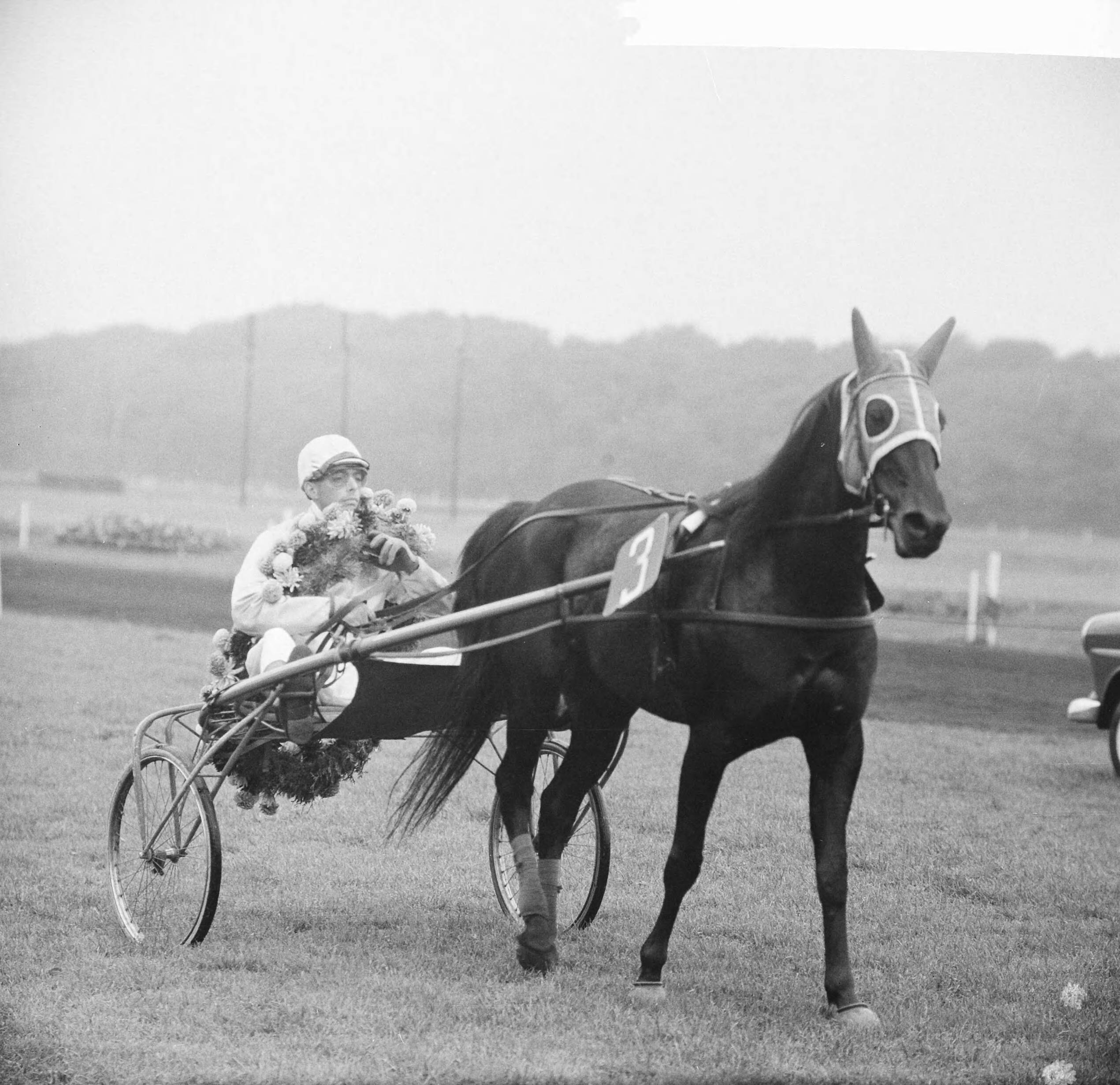 Fotocollectie Anefo — Nederland-België op Duindigt, draverij over 1600 meter, Diana R de winnaar bij de driejarigen, pikeur Jan Wagenaarjr. — Foto: Nijs, Jac. de / Anefo. Licentie: Set B: Rechtenvrij / Publiek Domein. Bron: Nationaal Archief. http://hdl.handle.net/10648/aac22592-d0b4-102d-bcf8-003048976d84