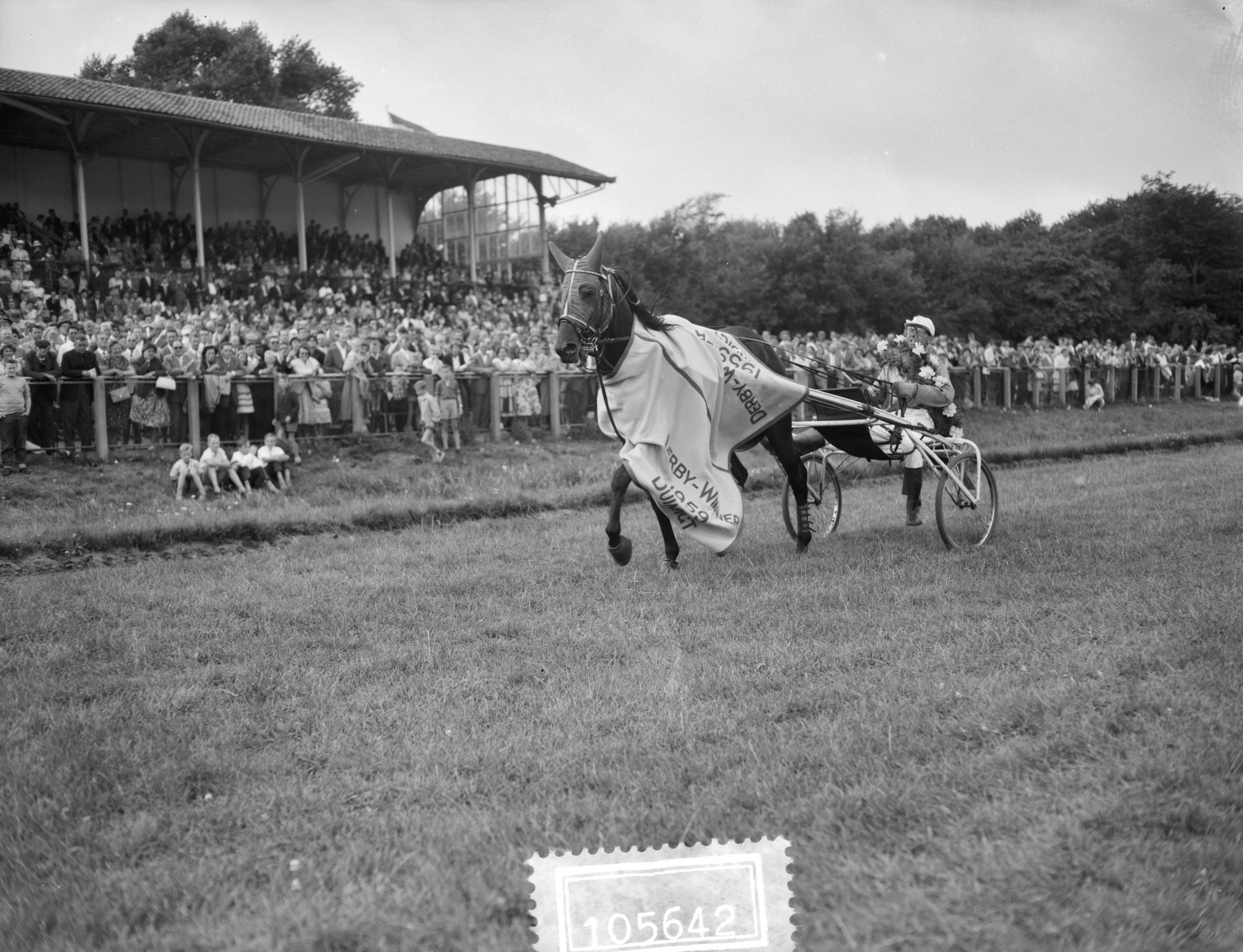 Fotocollectie Anefo — Draversderby op Duindigt: Winnaar Derby-X Xuthus Hollandia met pikeur Martin Vergay loopt een ereronde — Foto: Rossem, Wim van / Anefo. Licentie: Set B: Rechtenvrij / Publiek Domein. Bron: Nationaal Archief. http://hdl.handle.net/10648/a99a2476-d0b4-102d-bcf8-003048976d84