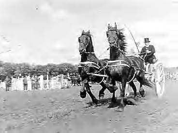 Fotocollectie Anefo — Concours hippique te Leeuwarden — Foto: Noske, J.D. / Anefo. Licentie: Set B: Rechtenvrij / Publiek Domein. Bron: Nationaal Archief. http://hdl.handle.net/10648/a96672f2-d0b4-102d-bcf8-003048976d84