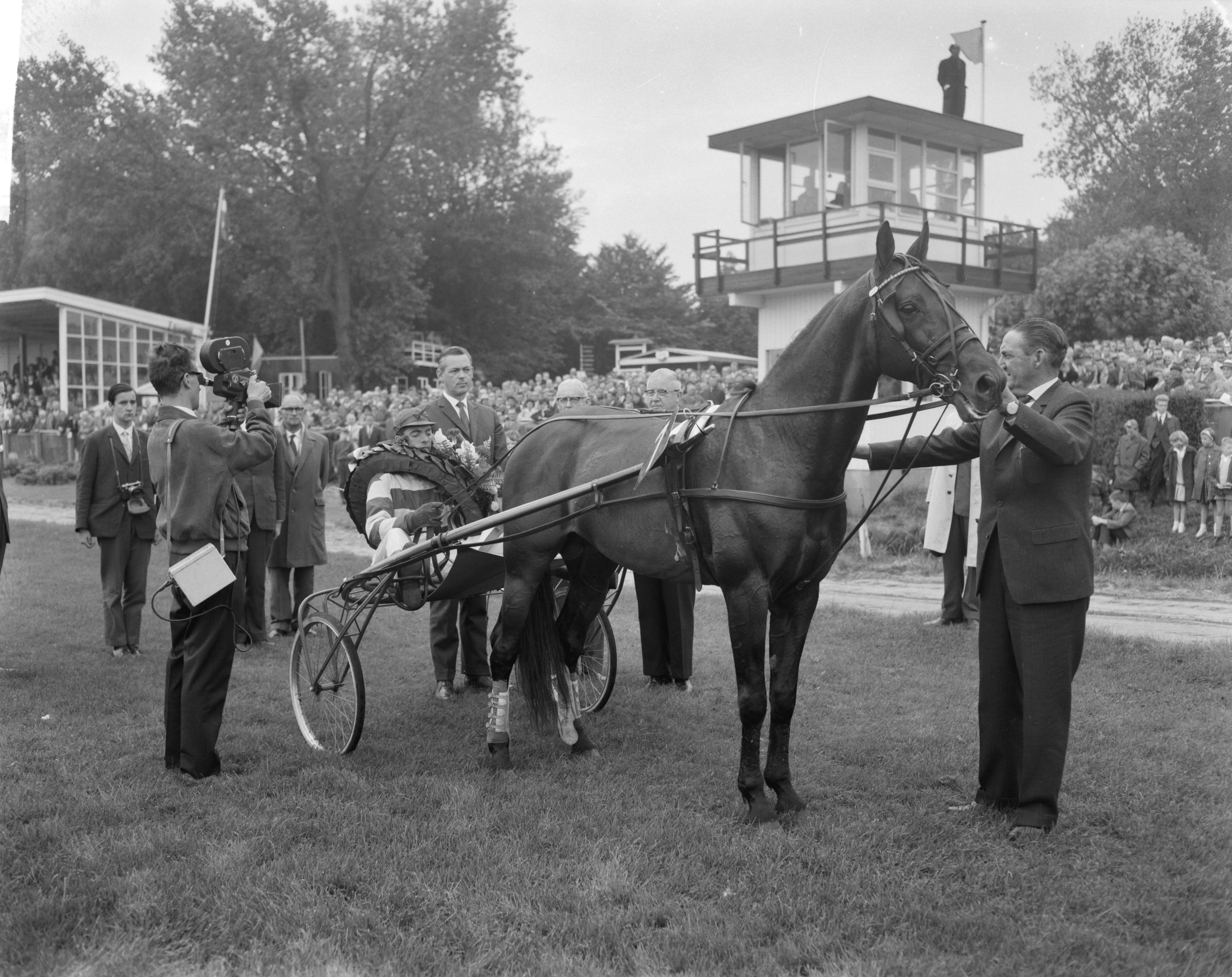 Fotocollectie Anefo — Draverijen te Duindigt om kampioenschap van Nederland, Quicksilver met pikeur J. Wagenaar jr. — Foto: Bilsen, Joop van / Anefo. Licentie: Set B: Rechtenvrij / Publiek Domein. Bron: Nationaal Archief. http://hdl.handle.net/10648/aa189cfc-d0b4-102d-bcf8-003048976d84