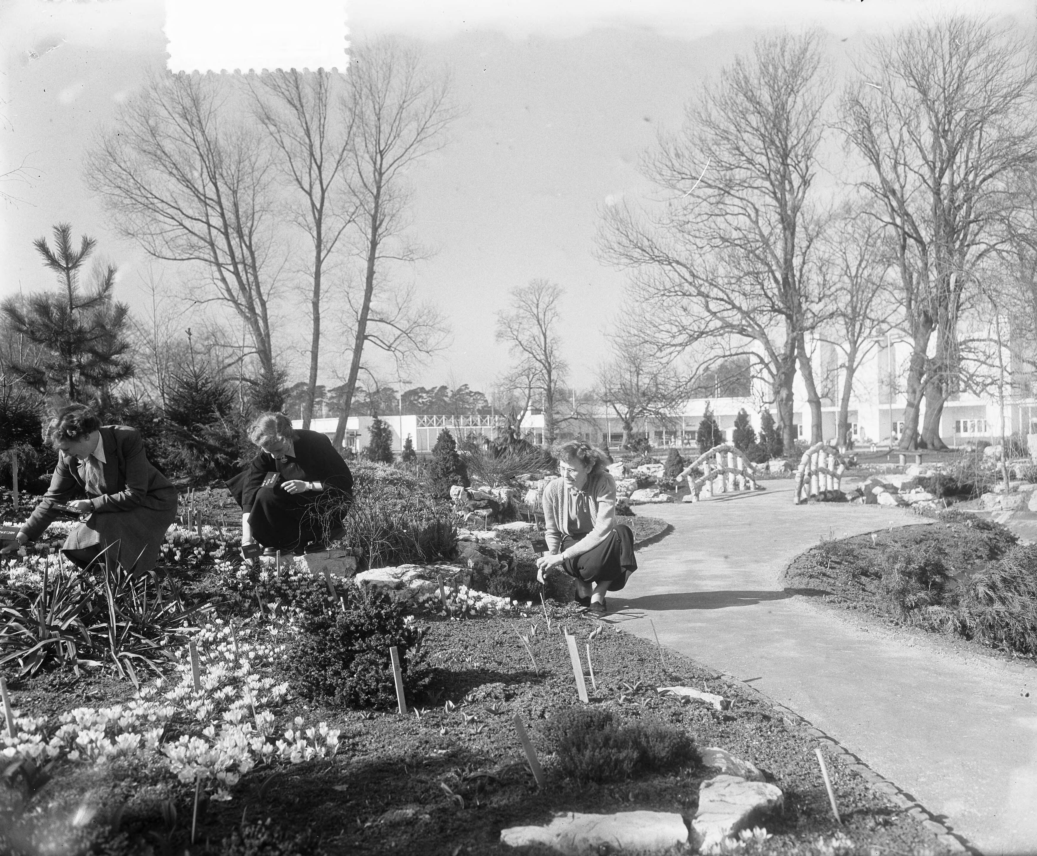 Overzichten bloementuin "Flora" te Heemstede — Foto: Pot, Harry / Anefo. — Licentie: Set B: Rechtenvrij / Publiek Domein. Bron: Nationaal Archief. http://hdl.handle.net/10648/a907e7be-d0b4-102d-bcf8-003048976d84