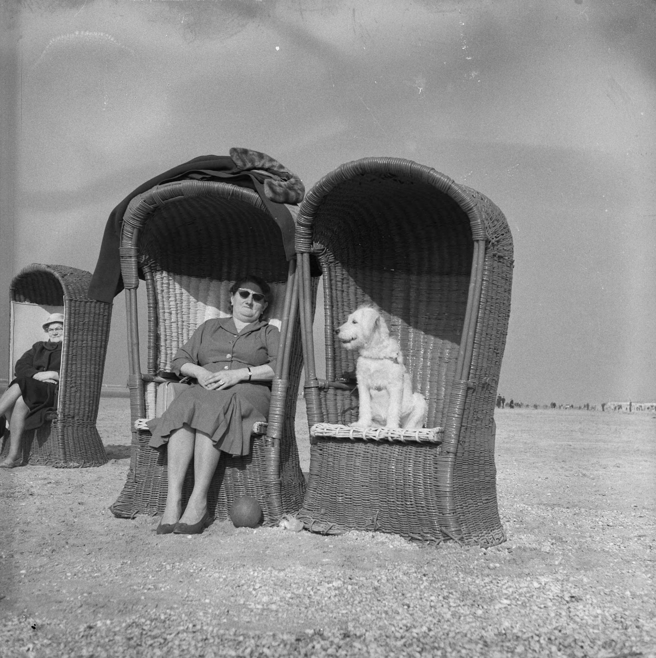 Fotocollectie Anefo — Mooi weer aan het strand te Zandvoort. Bazin en hond in strandstoel — Foto: Nijs, Jac. de / Anefo. Licentie: Set B: Rechtenvrij / Publiek Domein. Bron: Nationaal Archief. http://hdl.handle.net/10648/a9cba7d0-d0b4-102d-bcf8-003048976d84