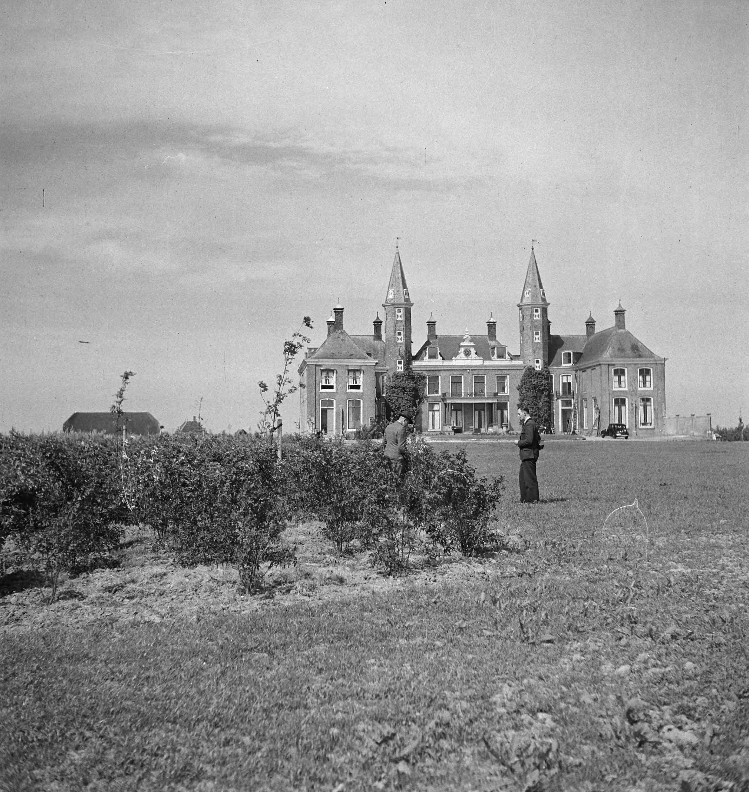 Fotocollectie Nederlandse Heidemaatschappij — [geen bijschrift. Wellicht herbeplanting landgoed "ter Hooge" in het 2e jaar van de aanleg — Foto: Tromp, [...] / Heidemij. Licentie: Set B: Rechtenvrij / Publiek Domein. Bron: Nationaal Archief. http://hdl.handle.net/10648/ae7ffd3a-d0b4-102d-bcf8-003048976d84