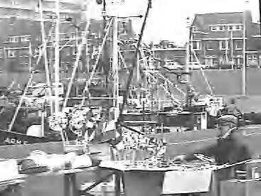Fotocollectie Rijksvoorlichtingsdienst Eigen — dias vlaggetjesdag scheveningen — Foto: Schuurman, Ralph L. / RVD. Licentie: Set B: Rechtenvrij / Publiek Domein. Bron: Nationaal Archief. http://hdl.handle.net/10648/af7334b4-d0b4-102d-bcf8-003048976d84