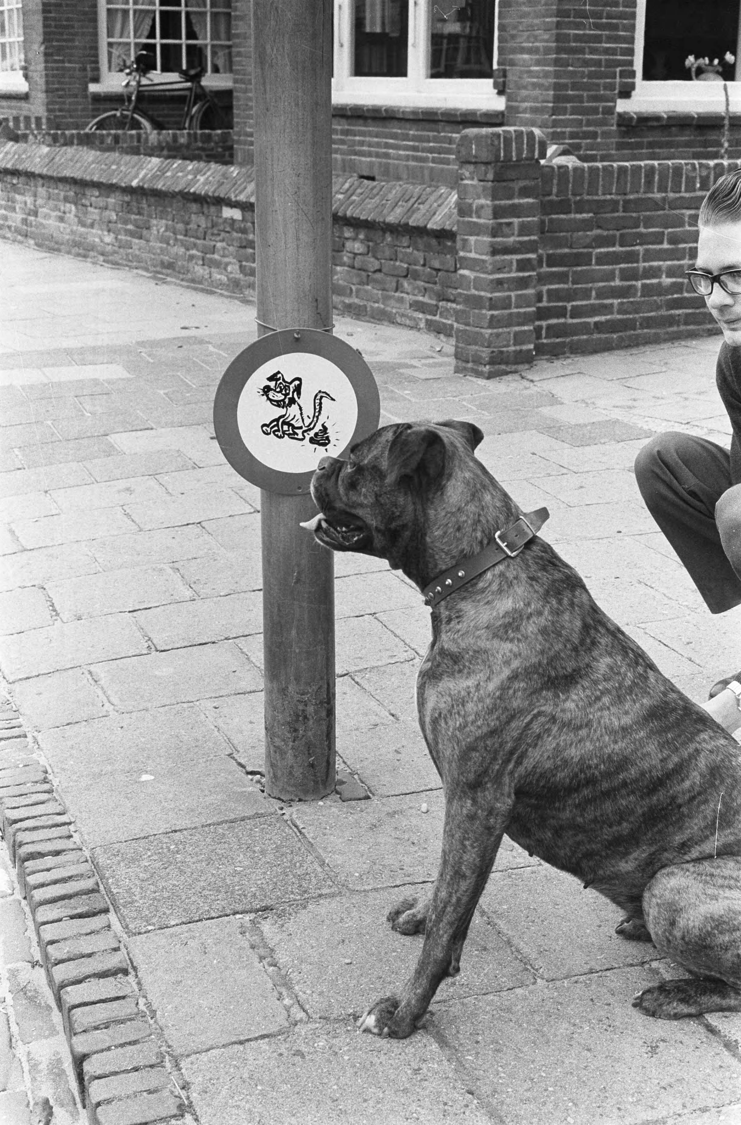 Fotocollectie Anefo — Een inwoner van Zandvoort heeft nieuw "verkeersbord" geplaatst — Foto: Pot, Harry / Anefo. Licentie: Set B: Rechtenvrij / Publiek Domein. Bron: Nationaal Archief. http://hdl.handle.net/10648/aa19e738-d0b4-102d-bcf8-003048976d84