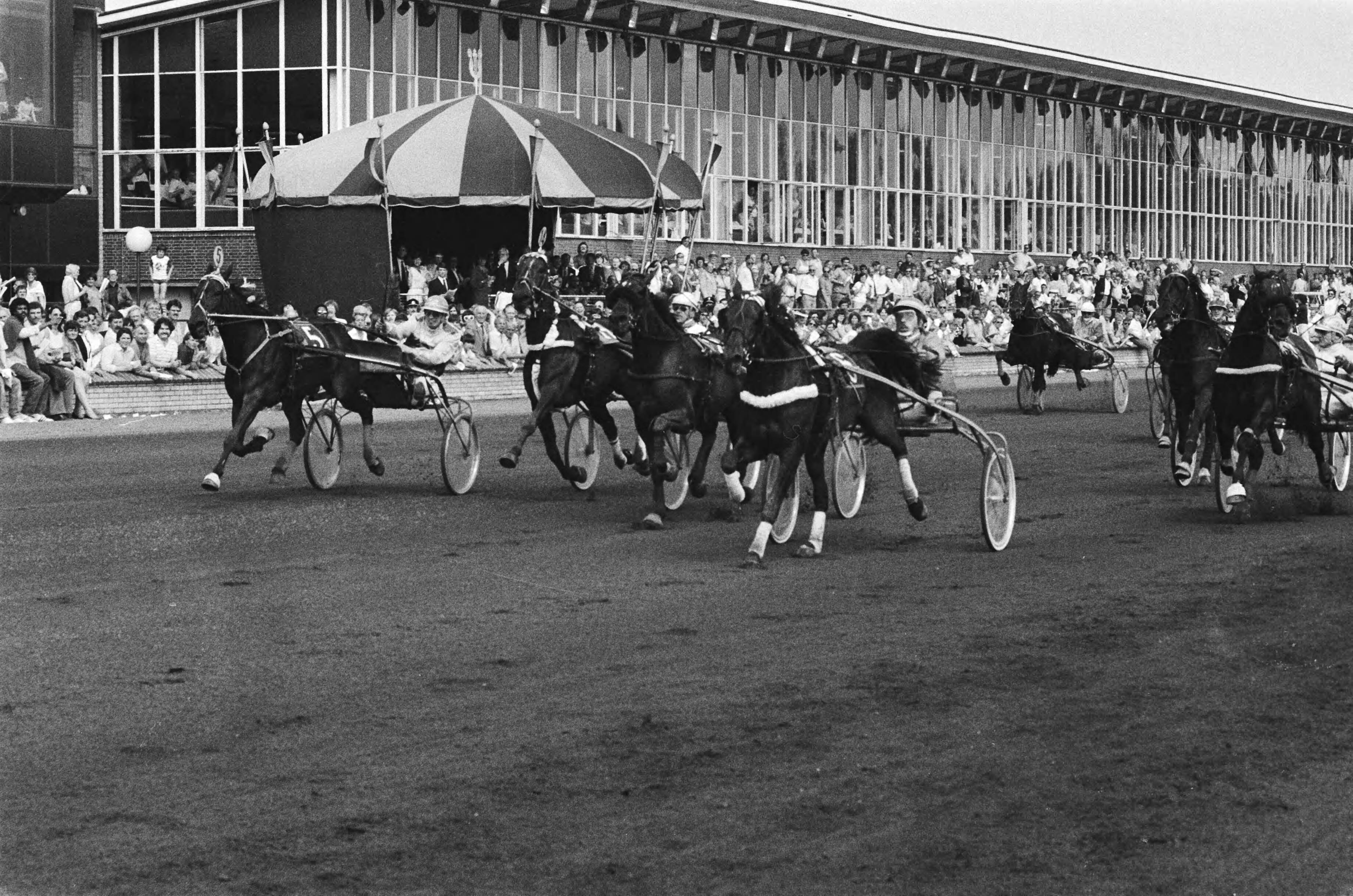 Fotocollectie Anefo — Hilversum, draverij om de Gouden Zweep ; G. den Dubbelden met Perry Anjo (rechts) wint de race, (l) Rieka Hanover (Henk Hamming) werd tweede in aktie — Foto: Croes, Rob C. / Anefo. Licentie: Set B: Rechtenvrij / Publiek Domein. Bron: Nationaal Archief. http://hdl.handle.net/10648/ad179a0c-d0b4-102d-bcf8-003048976d84