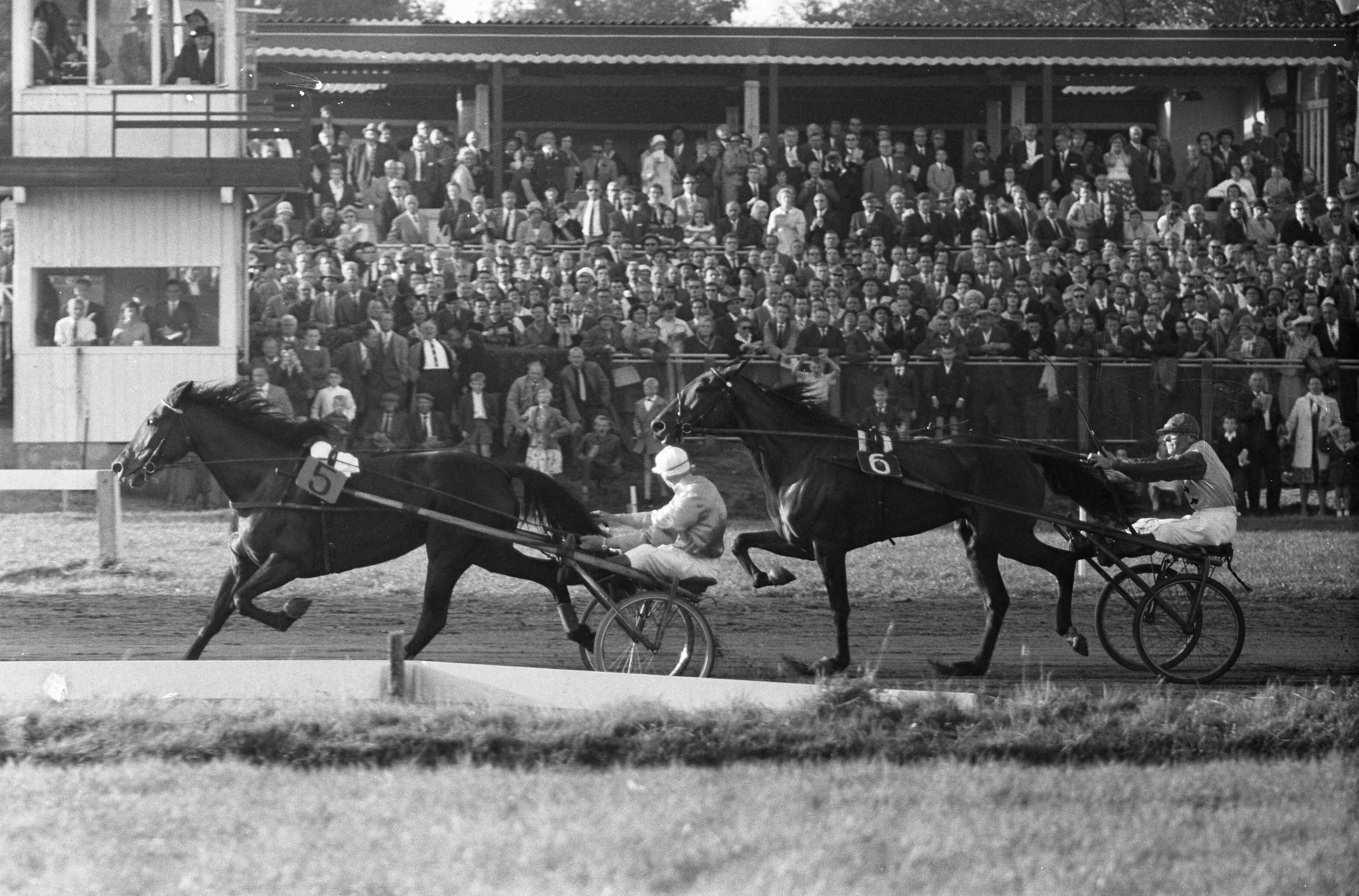 Fotocollectie Anefo — 25e draversontmoeting Nederland tegen België op Duindigt. Finish Prijs van Sterrebeek met Vanadis (Bram Nottelman) en Pikar (A. Tjolle) — Foto: Pot, Harry / Anefo. Licentie: Set B: Rechtenvrij / Publiek Domein. Bron: Nationaal Archief. http://hdl.handle.net/10648/a9e4906a-d0b4-102d-bcf8-003048976d84