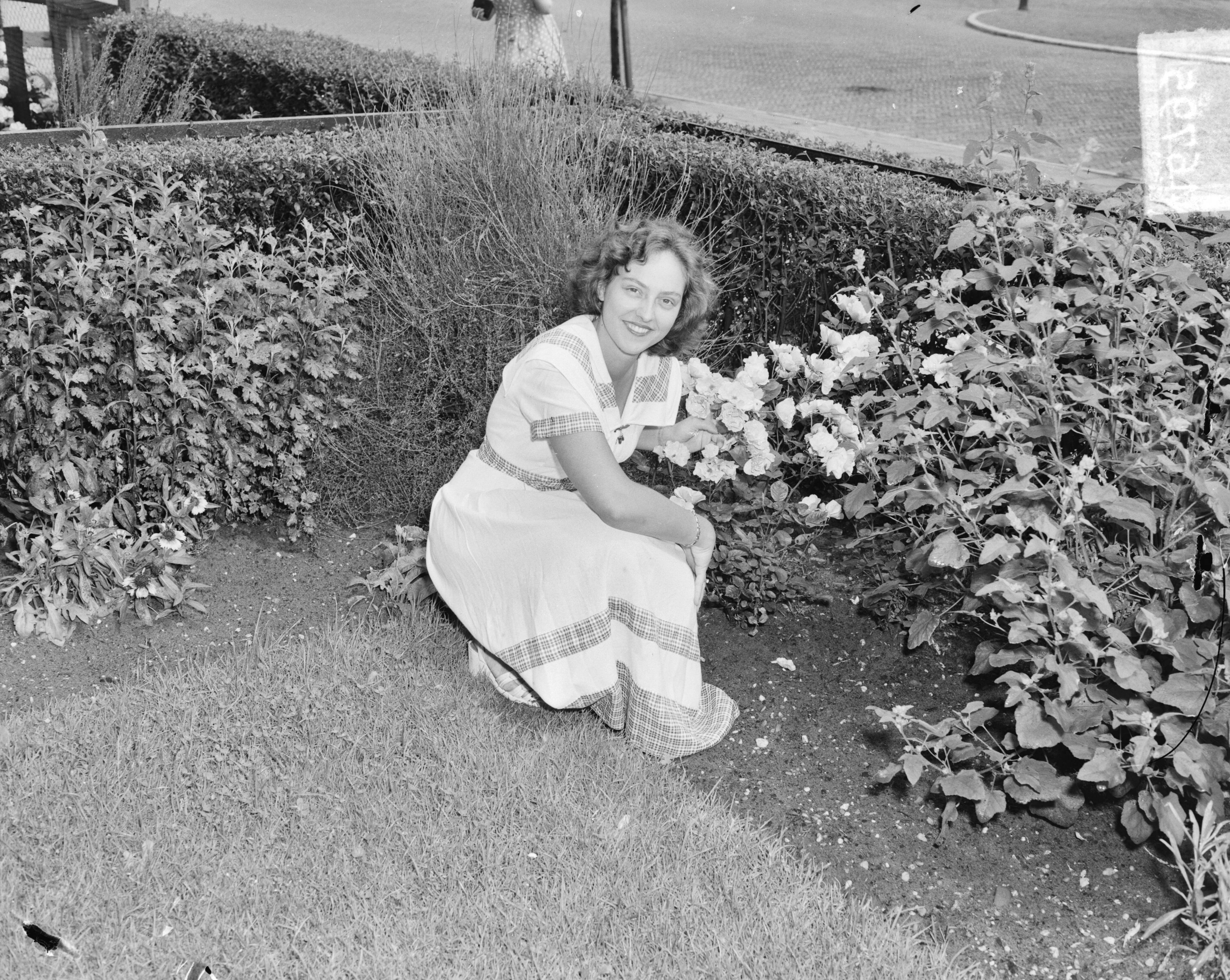 Beppie Landmeter bloemenkoningin van Haarlem — Foto: Pot, Harry / Anefo. — Licentie: Set B: Rechtenvrij / Publiek Domein. Bron: Nationaal Archief. http://hdl.handle.net/10648/a8ecf10c-d0b4-102d-bcf8-003048976d84