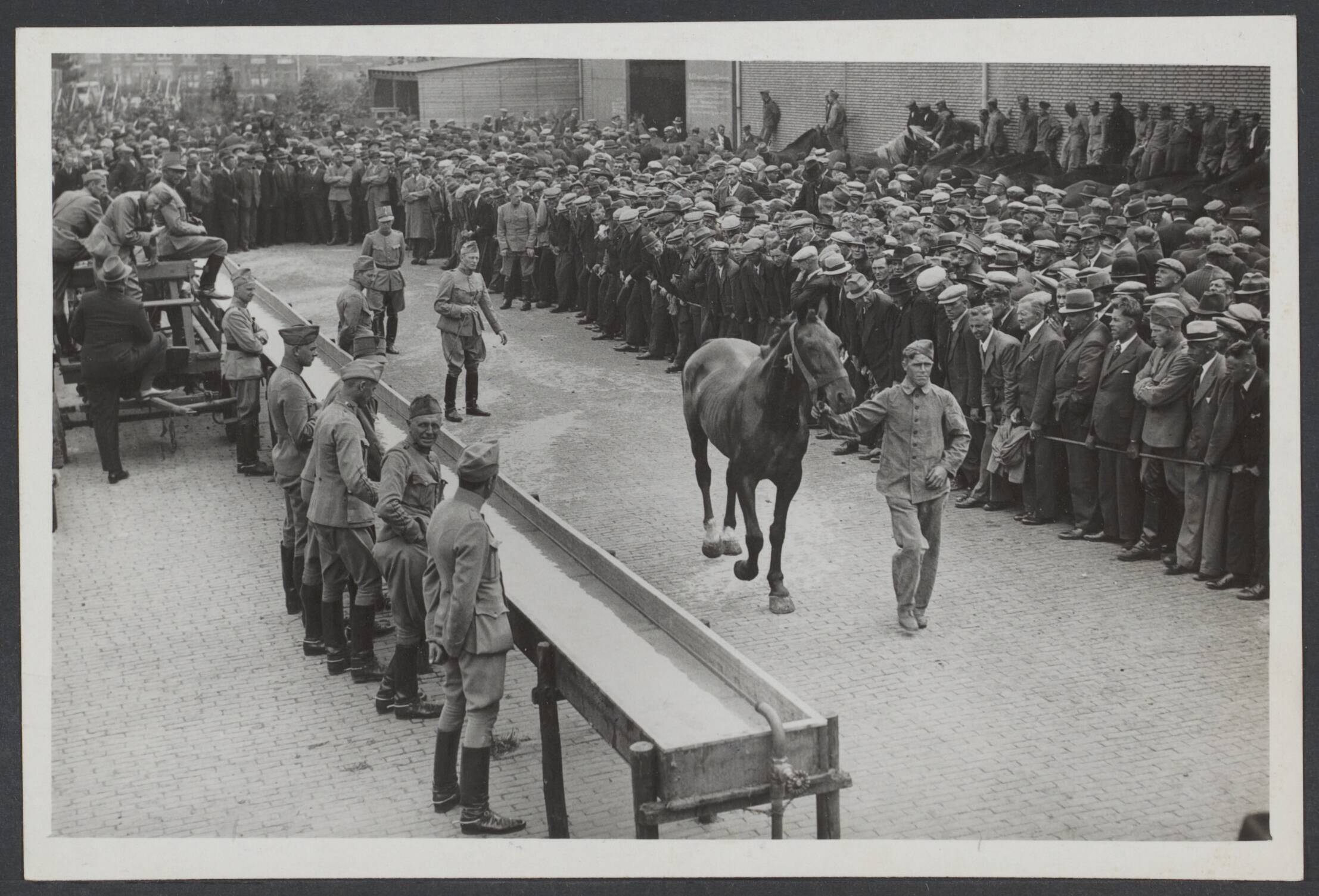 Demobilisatie 1940 — Den Haag. Paardenverkoop, die voor 't Duitse leger ongeschikt zijn. 't Voortdraven der paarden — Foto: N.V. Vereenigde Fotobureaux. Licentie: Set B: Rechtenvrij / Publiek Domein. Bron: Nationaal Archief. http://hdl.handle.net/10648/3d952a50-1747-536e-43fe-9309595a67be