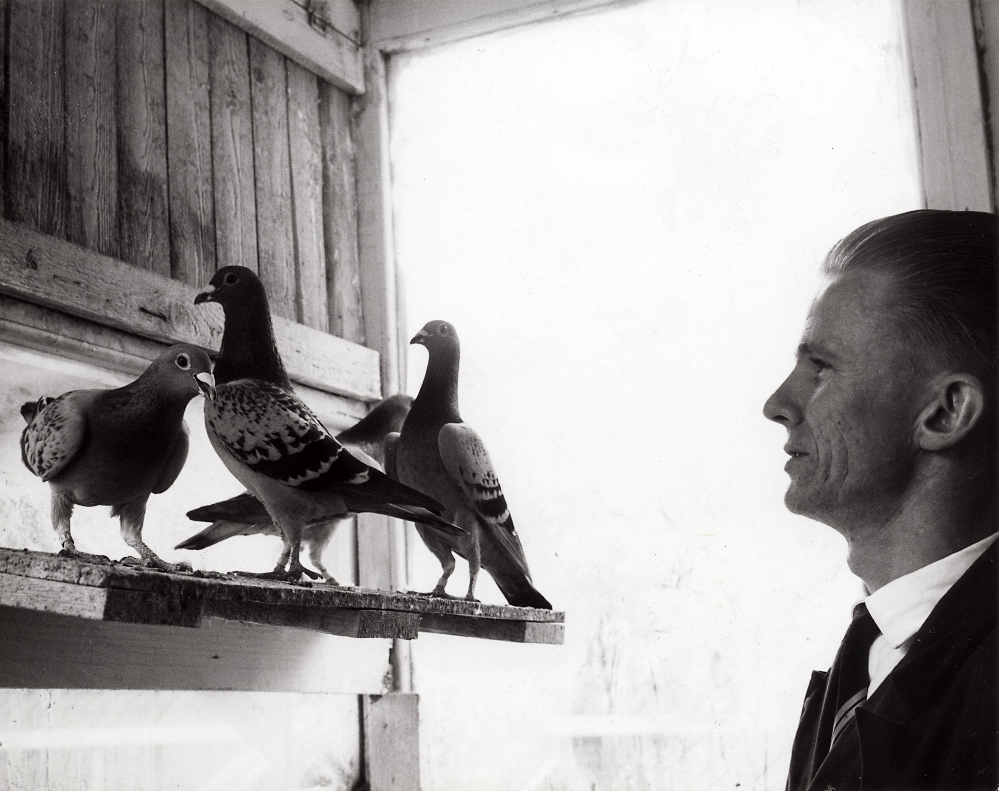 Collectie nader te bepalen — Drukkerij N.V. De Spaarnestad. Vrijetijdsbesteding personeel, 1965 — Foto: Fotograaf Onbekend / Fotobureau onbekend / Spaarnestad Photo (05887). Licentie: Set B: Rechtenvrij / Publiek Domein. Bron: Nationaal Archief. http://hdl.handle.net/10648/35429da6-3e5b-a382-e063-6df0900a6686