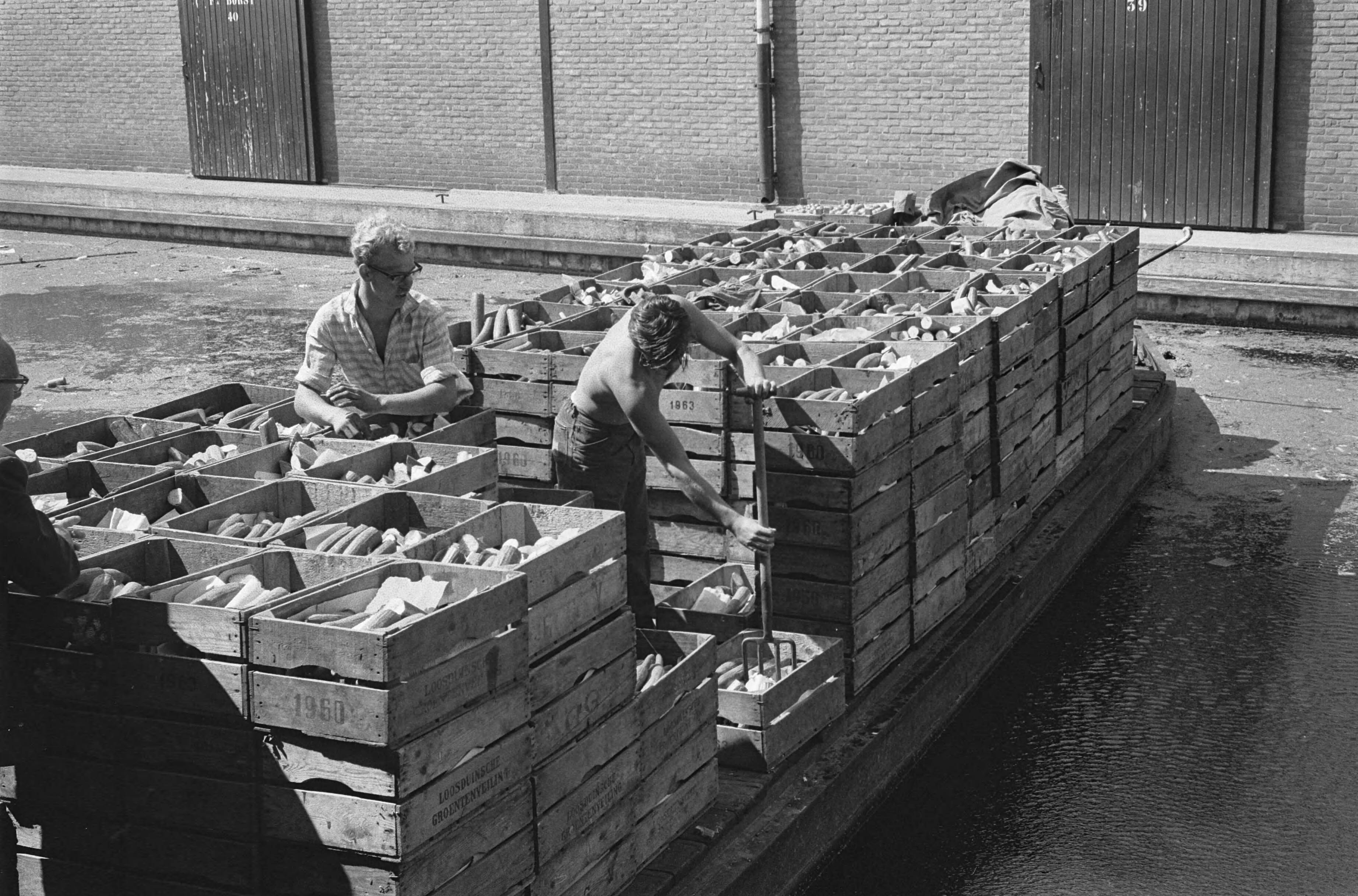 Fotocollectie Anefo — Massale doordraai komkommers begonnen. Het vernietigen op de veiling Loosduinen — Foto: Pot, Harry / Anefo. Licentie: Set B: Rechtenvrij / Publiek Domein. Bron: Nationaal Archief. http://hdl.handle.net/10648/aa402f24-d0b4-102d-bcf8-003048976d84