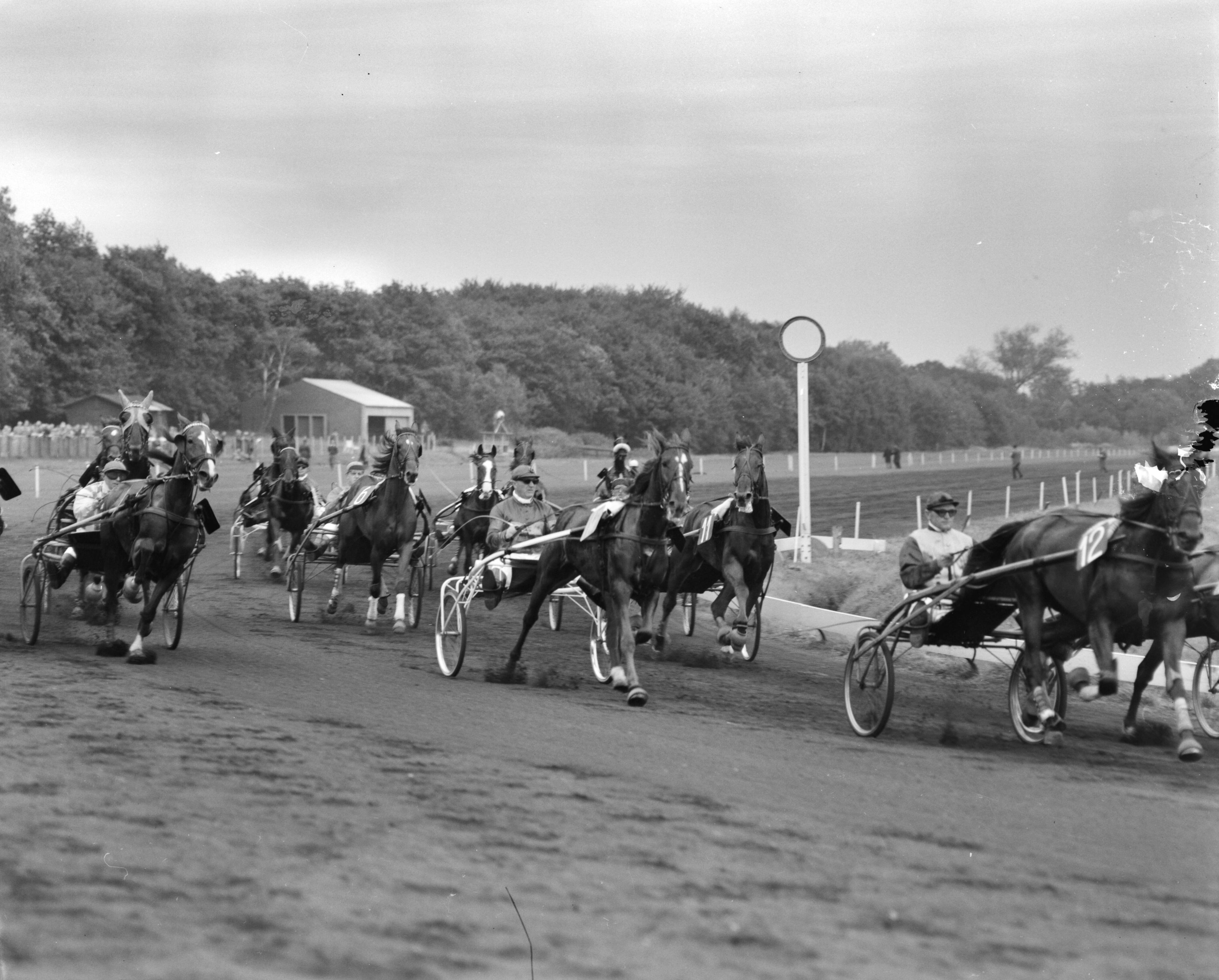 Fotocollectie Anefo — Draverijen te Duindigt — Foto: Bilsen, Joop van / Anefo. Licentie: Set B: Rechtenvrij / Publiek Domein. Bron: Nationaal Archief. http://hdl.handle.net/10648/aa19861c-d0b4-102d-bcf8-003048976d84