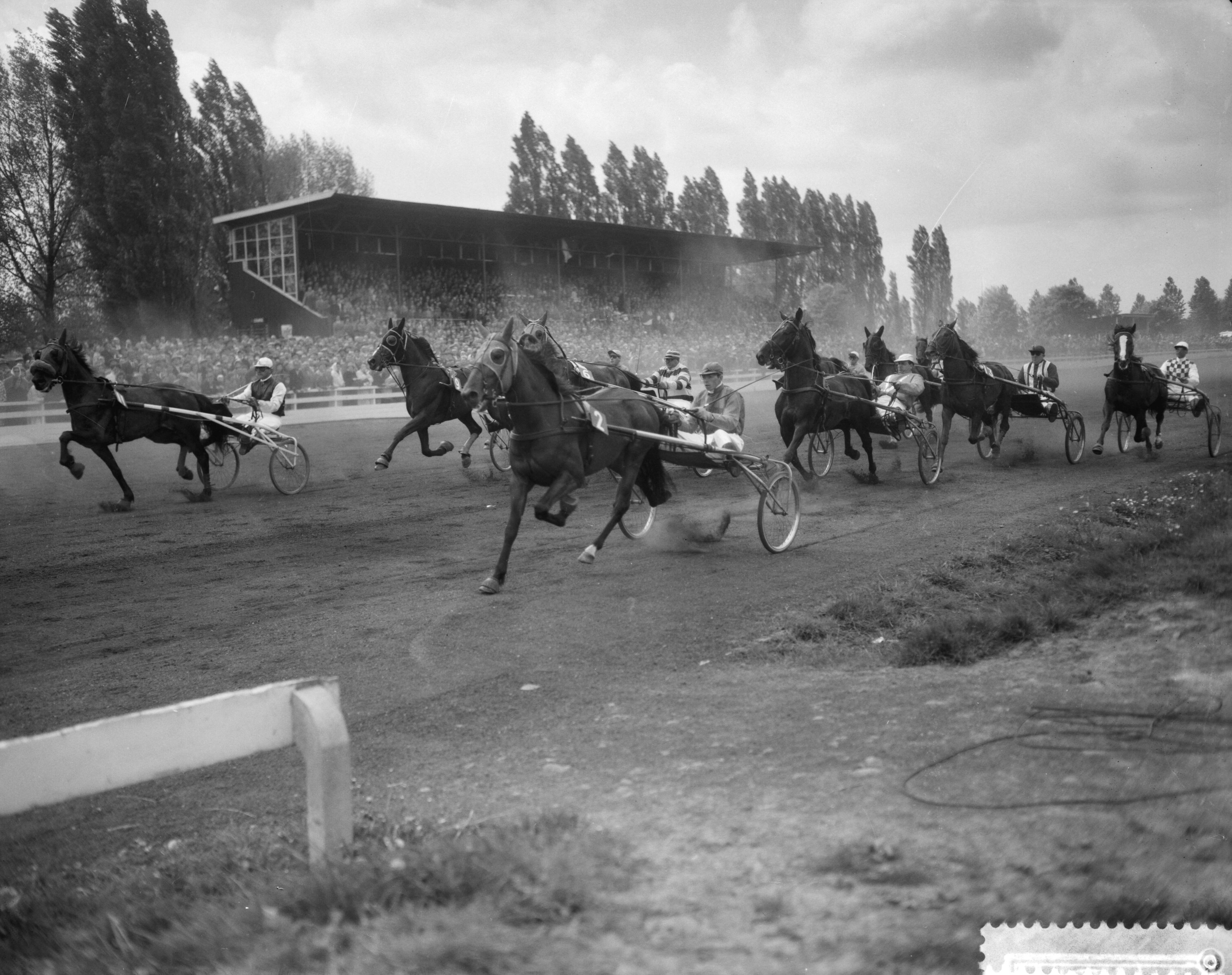 Fotocollectie Anefo — Draverijen op Sportpark Mereveld te Utrecht. Draverij om de Professorenprijs — Foto: Bilsen, Joop van / Anefo. Licentie: Set B: Rechtenvrij / Publiek Domein. Bron: Nationaal Archief. http://hdl.handle.net/10648/a9d4c842-d0b4-102d-bcf8-003048976d84