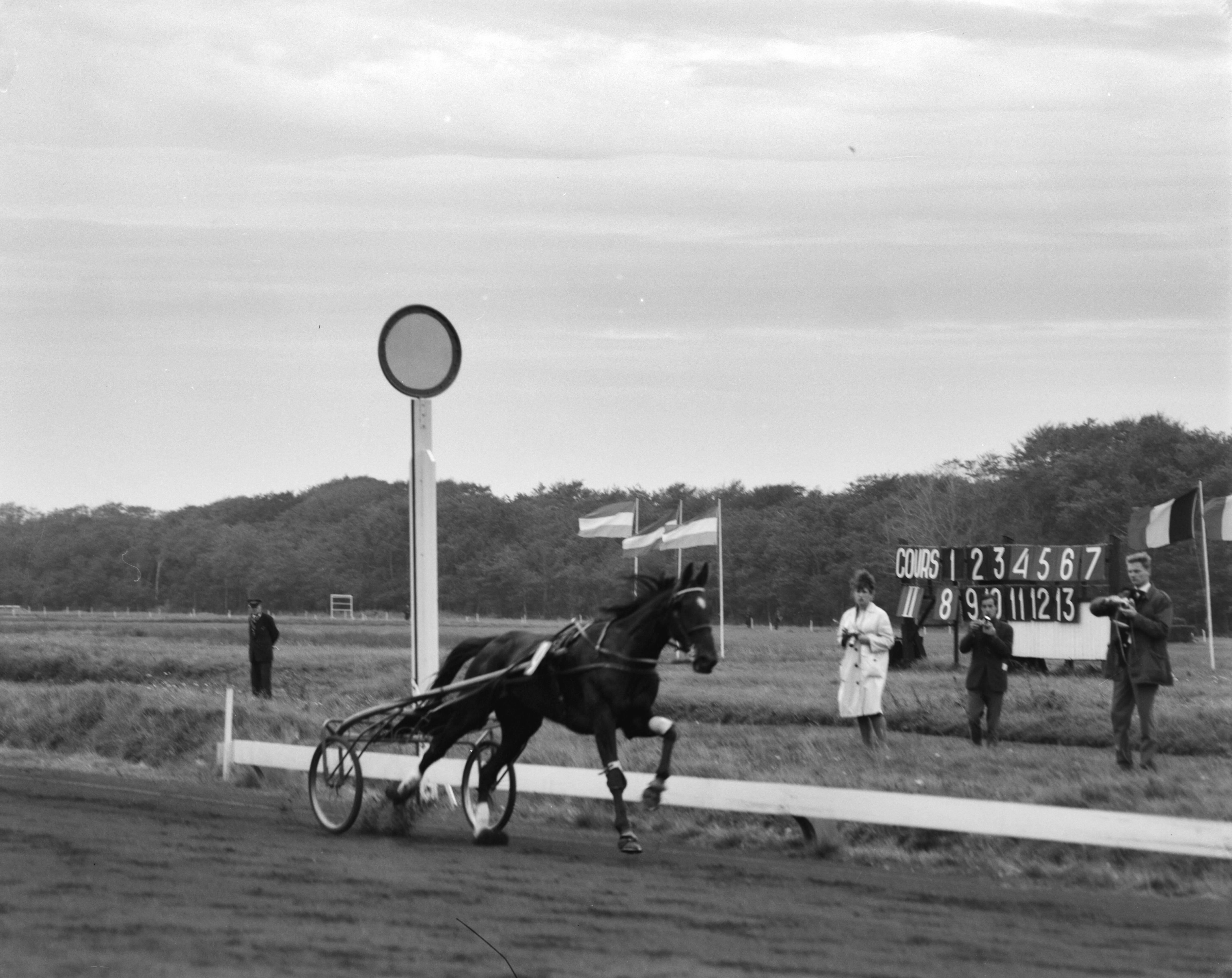 Fotocollectie Anefo — Draverijen te Duindigt. Draver zonder pikeur op de sulky — Foto: Bilsen, Joop van / Anefo. Licentie: Set B: Rechtenvrij / Publiek Domein. Bron: Nationaal Archief. http://hdl.handle.net/10648/aa198482-d0b4-102d-bcf8-003048976d84