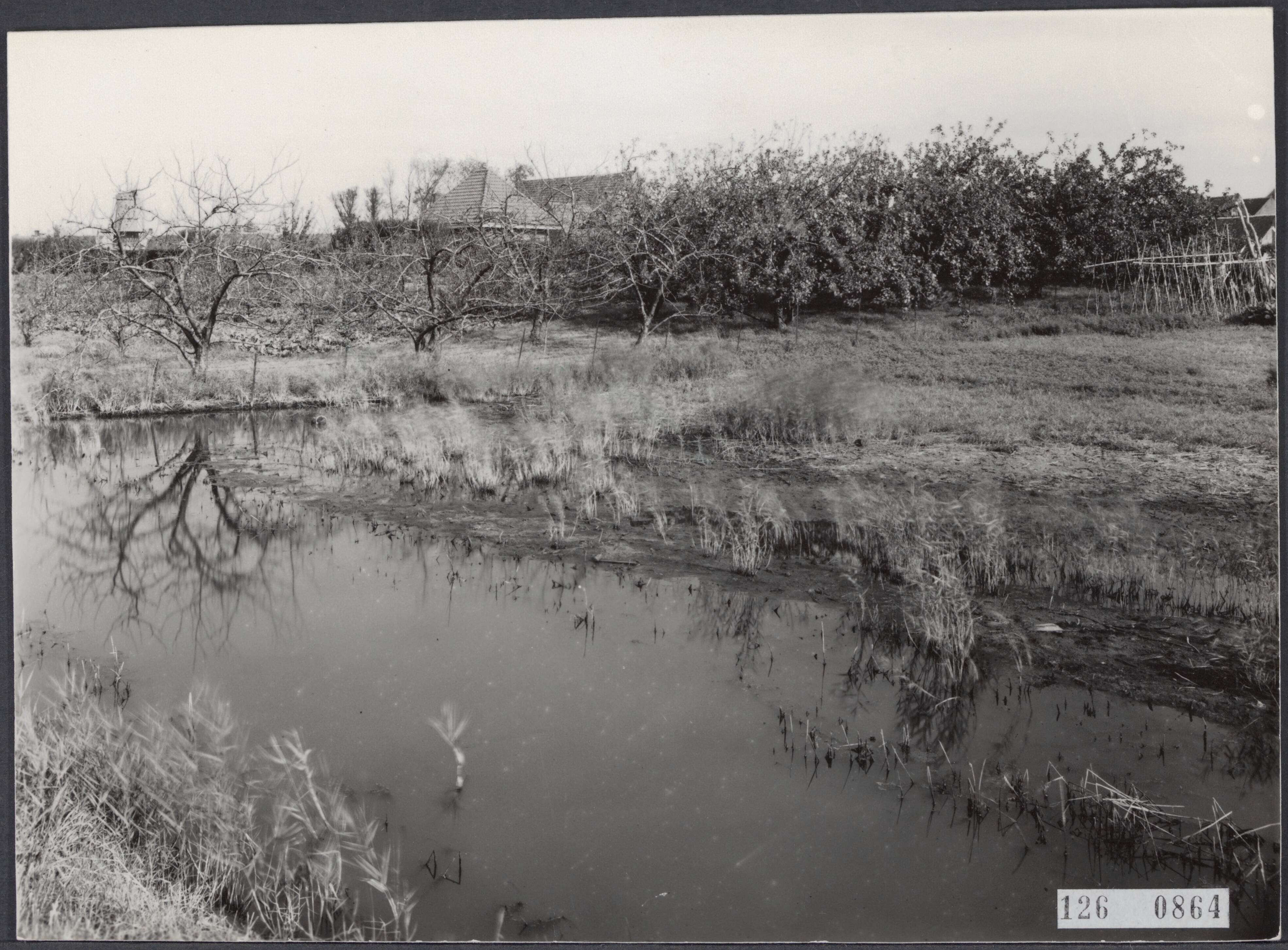 Fotocollectie Rijksvoorlichtingsdienst Eigen — fruitteelt, schade — Foto: Ministerie van Landbouw en Visserij. Licentie: Set B: Rechtenvrij / Publiek Domein. Bron: Nationaal Archief. http://hdl.handle.net/10648/af3a5914-d0b4-102d-bcf8-003048976d84